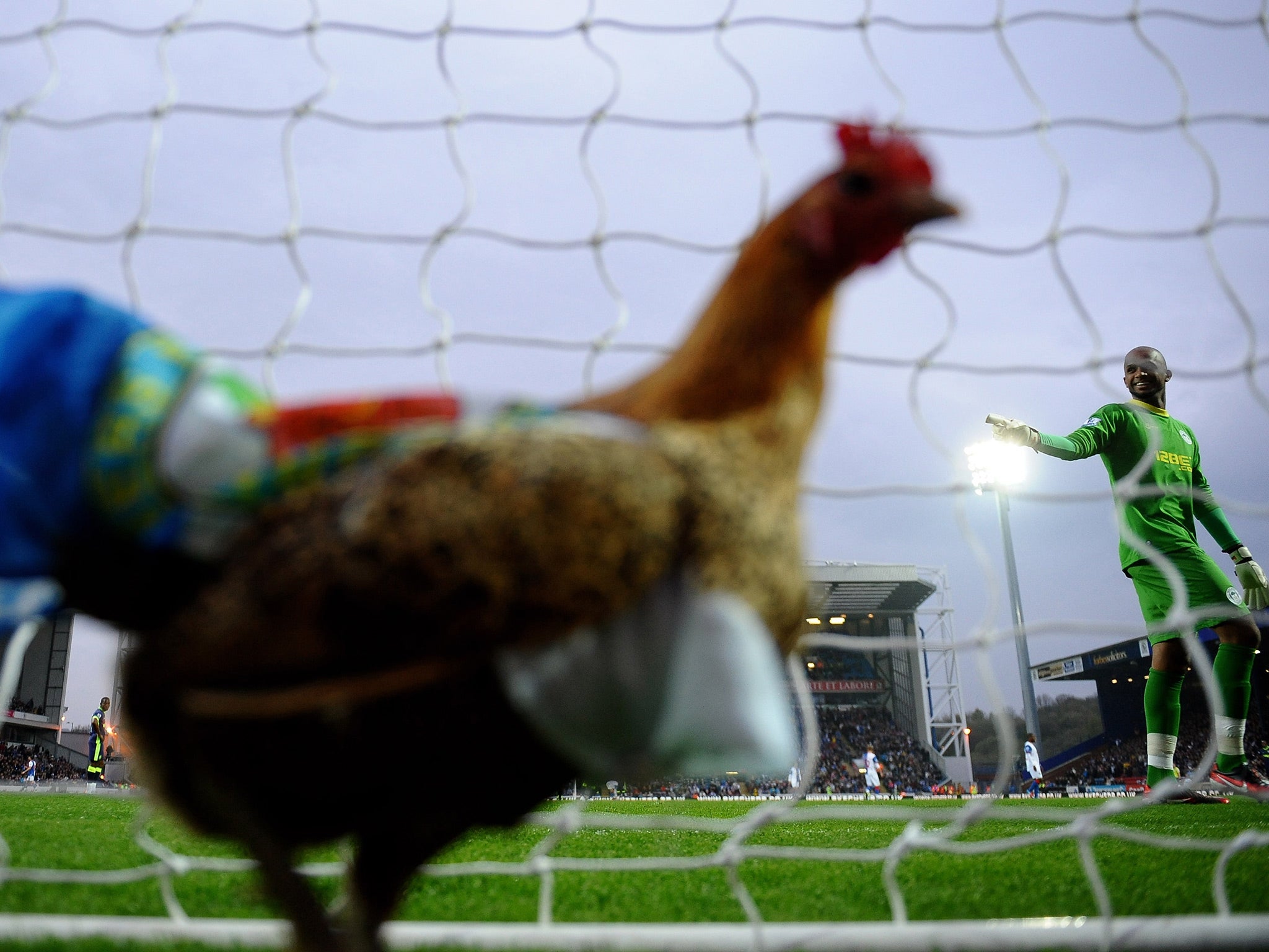 Blackburn fans infamously set a chicken loose on the pitch on the night of the club's relegation from the Premier League in 2012