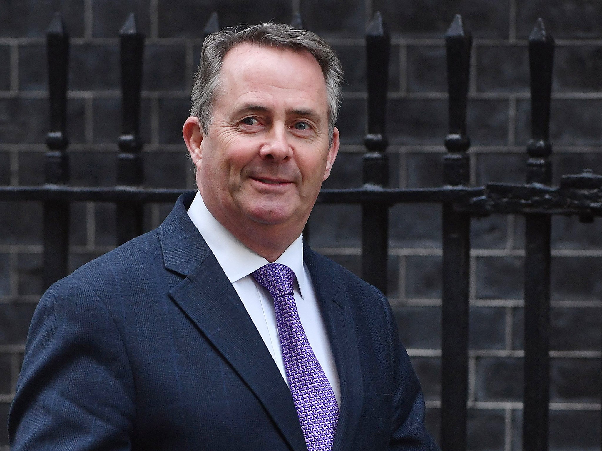 Boris Johnson corresponded with International Trade Secretary Liam Fox