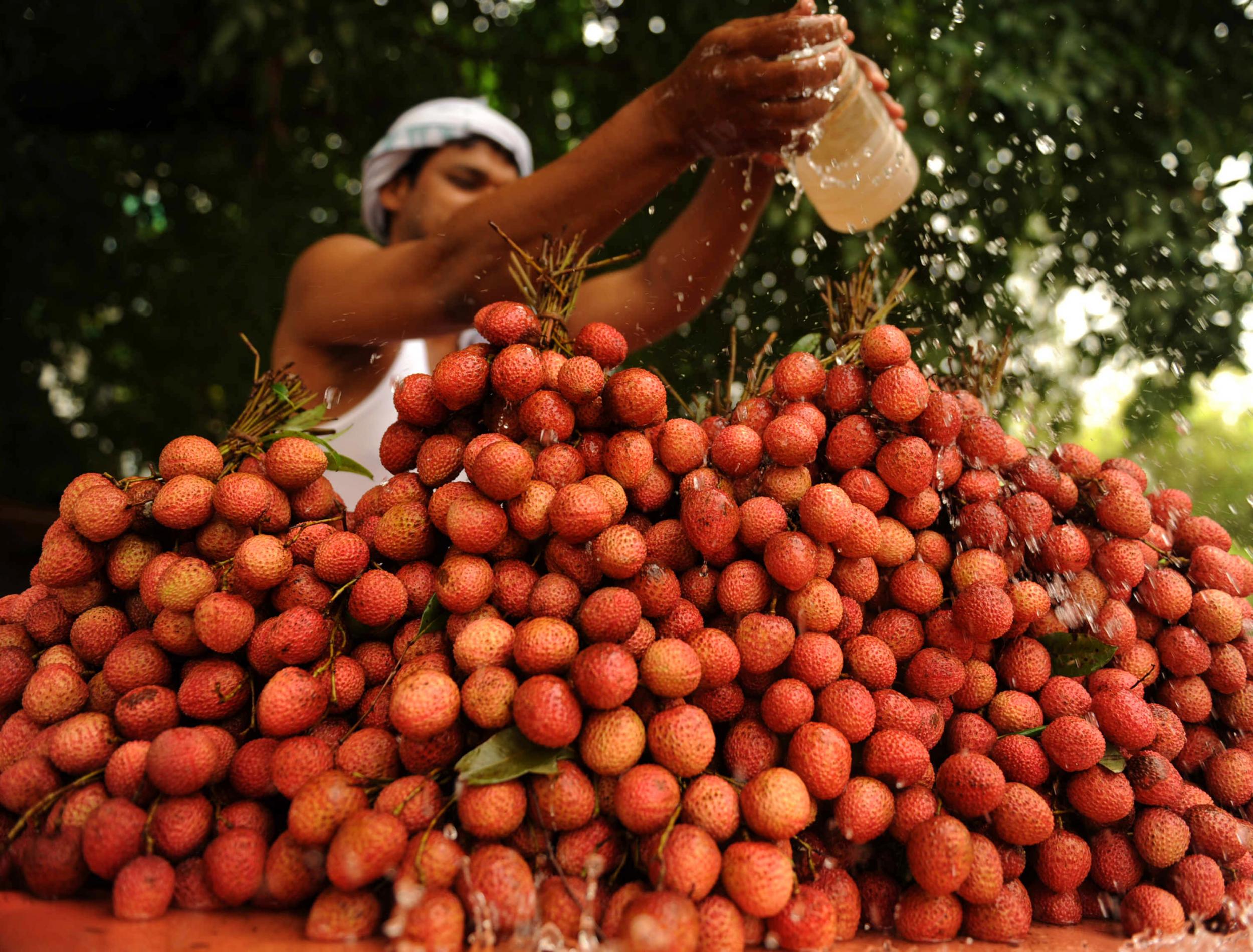 An Indian fruit seller pours water over lychees