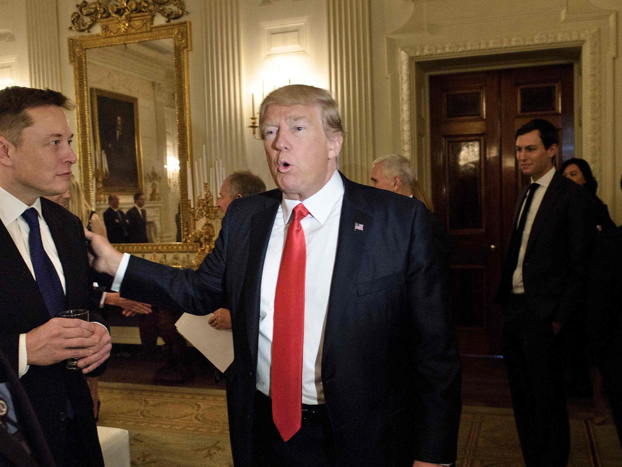 Elon Musk mocked for asking why there is ‘far higher interest in pursuing Trump’