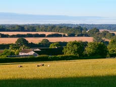 Should Britain build on its green spaces to solve the housing crisis?