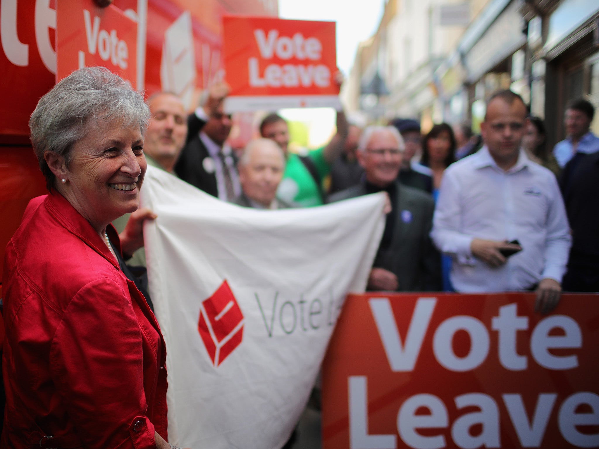 Vote Leave campaigners spread the message during a march