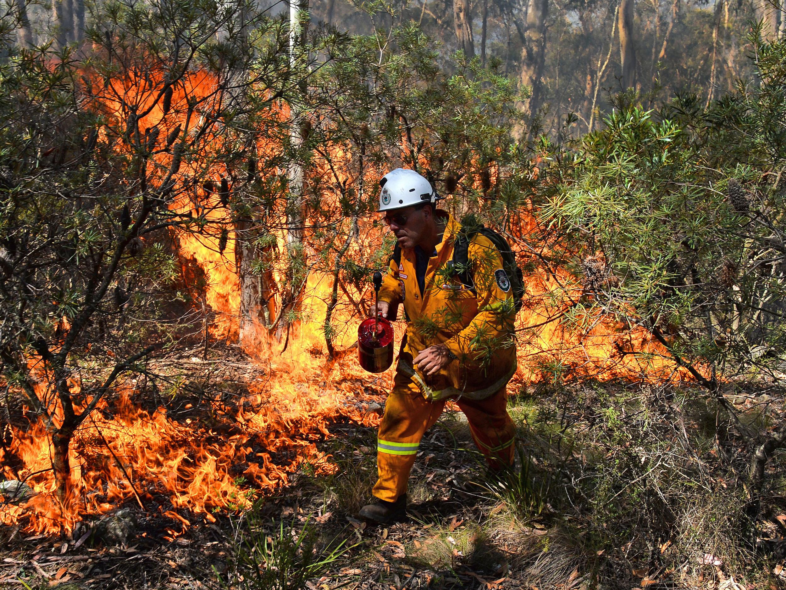 A firefighter tackling a blaze in 2013, when searing heat across New South Wales caused bush fire which destroyed more than 200 homes.