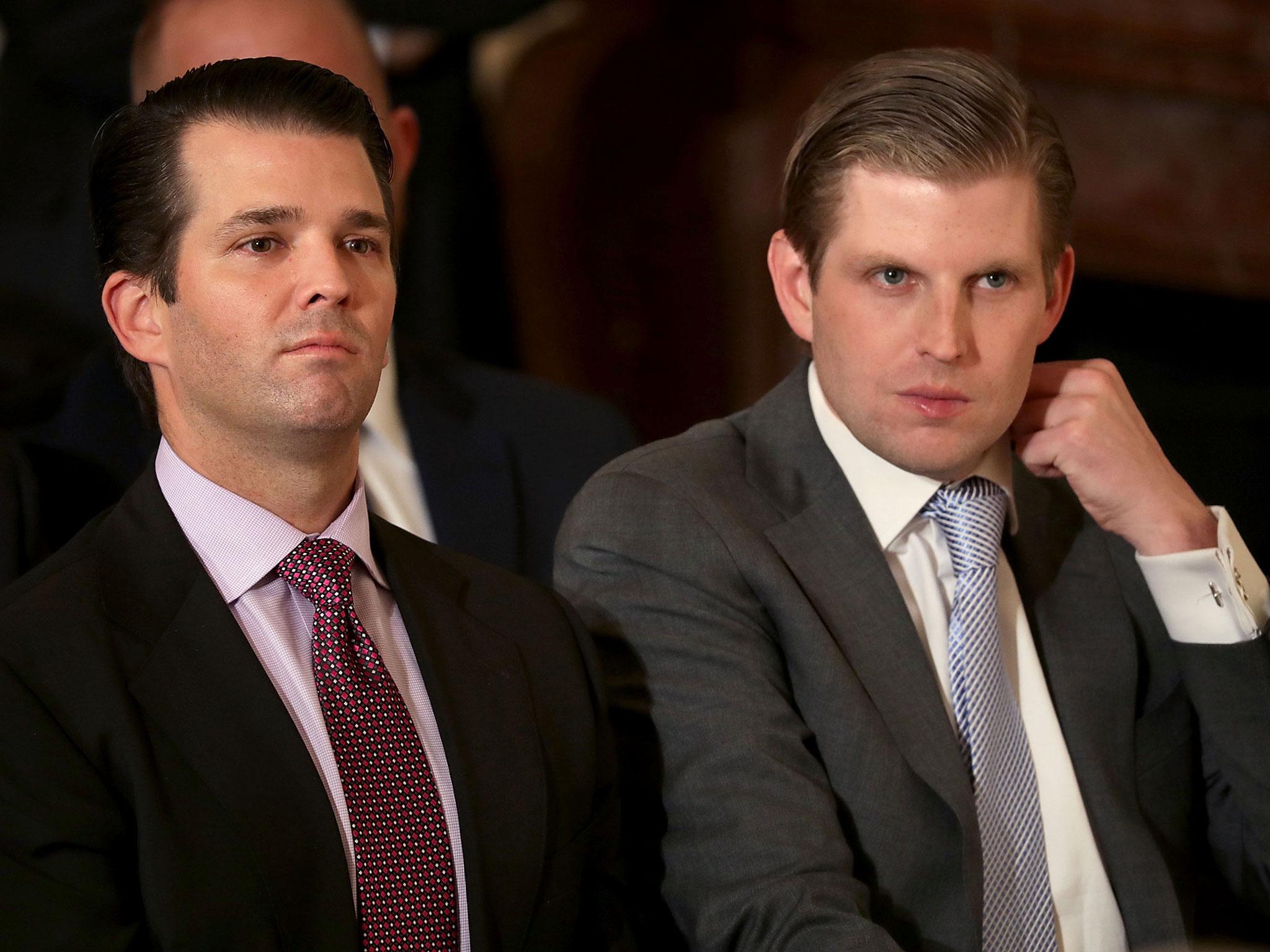 Eric Trump (R) claims he is now named officer on hundreds of Trump companies and Donald Trump Jr (L) is in charge of many of the remaining companies