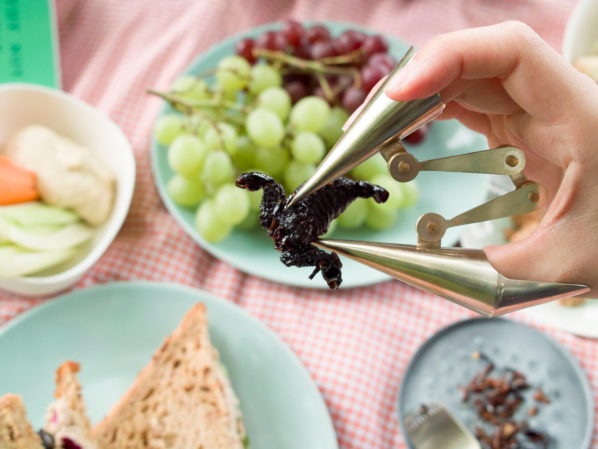 Kobayashi Wataru has imagined a world where everyone is open to eating bugs