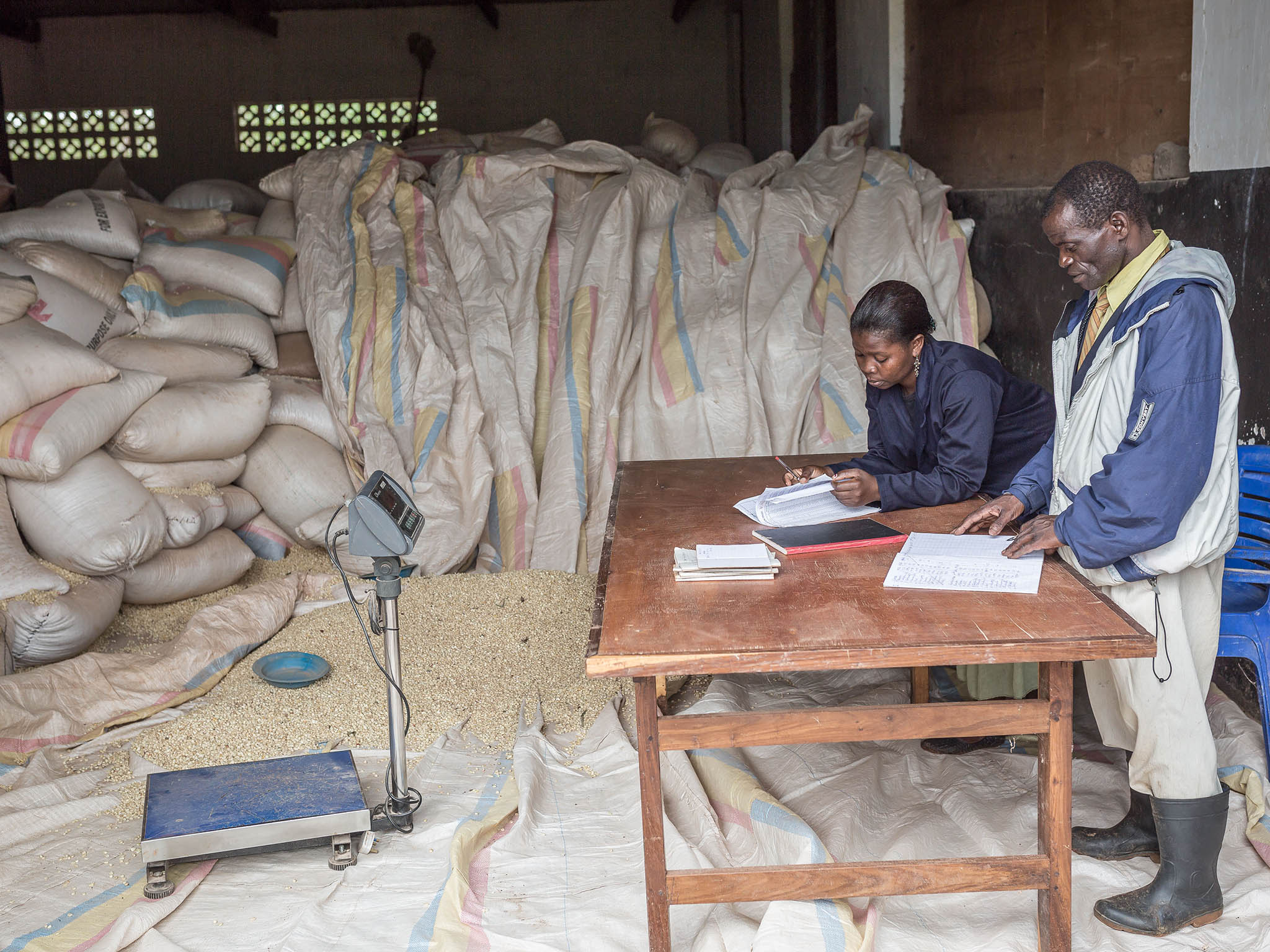 Maize warehouse: a subsidised maize distribution scheme has increased food security during the 'hungry months'