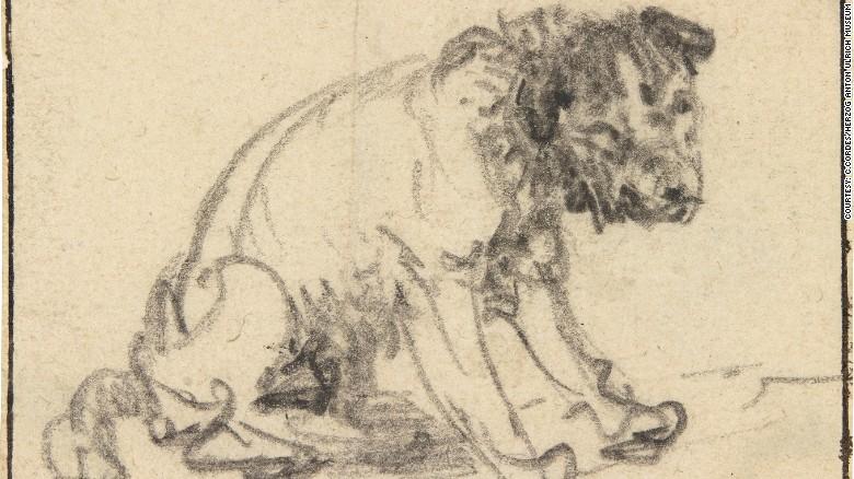 The chalk sketch of the dog that is now believed to have been drawn by the Dutch Master Rembrandt