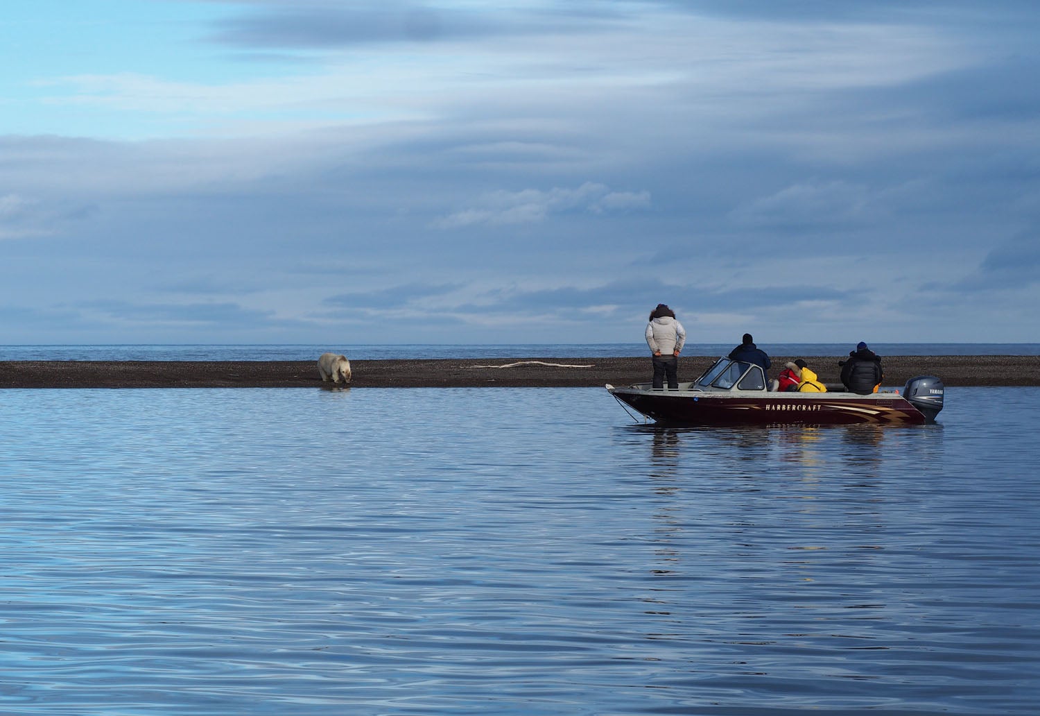 Tourist boats maintain a safe distance from the bears