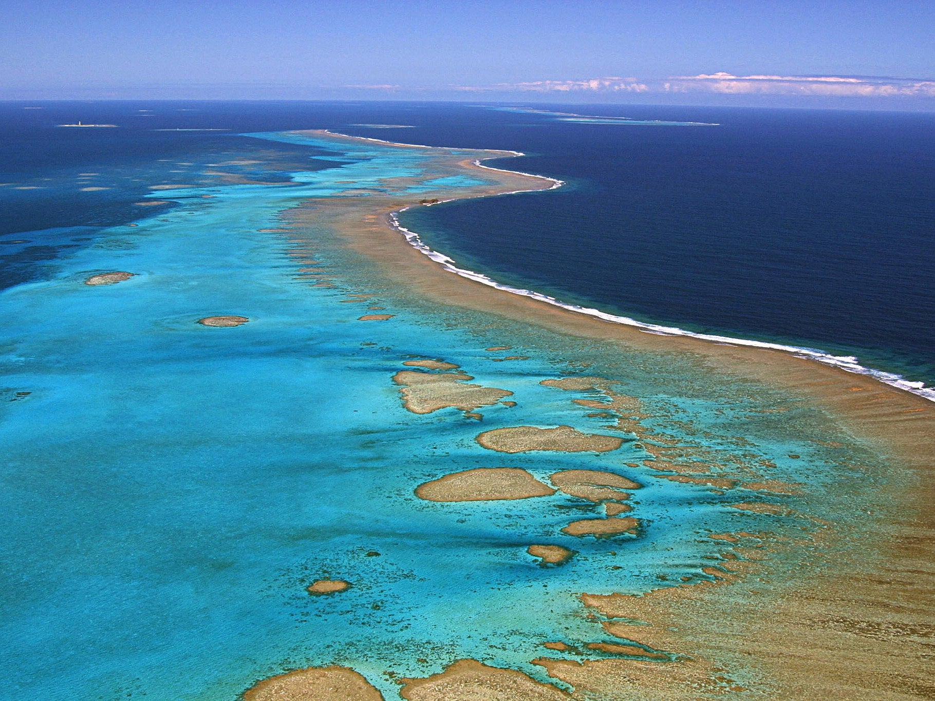 The current global coral bleaching event is the longest and most widespread ever recorded