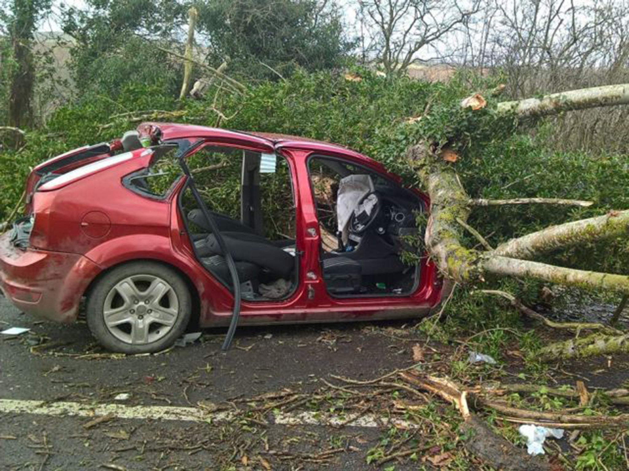 High winds brought down many trees, including this one on the A49 north of Church Stretton in Shropshire. Two occupants were injured