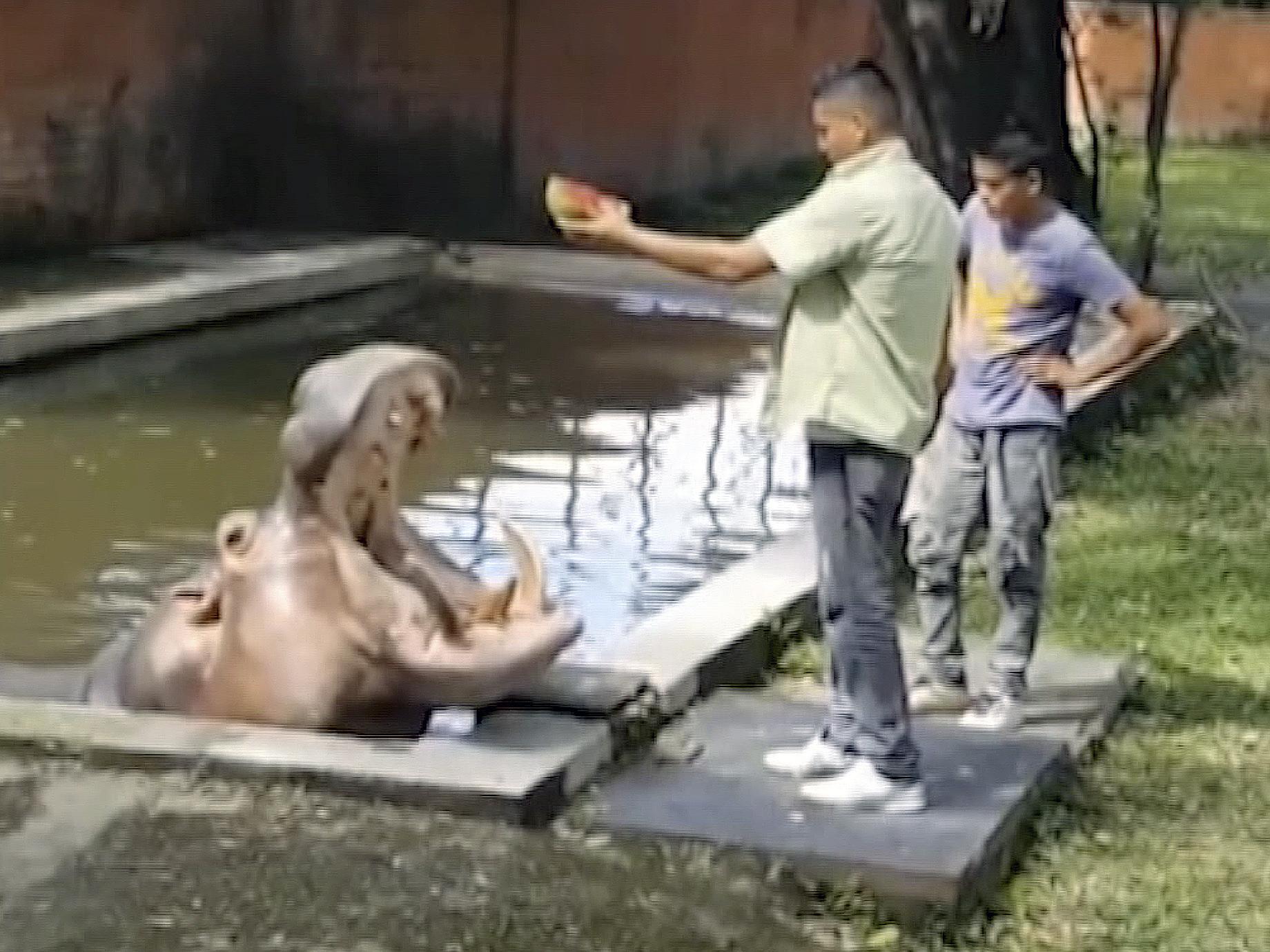 Gustavito is fed at the San Salvador Zoo in El Salvador