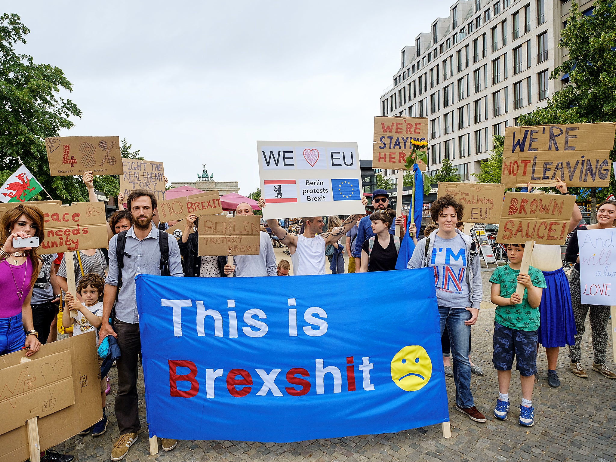 British expats hold up signs to protest for the United Kingdom to remain in the European Union