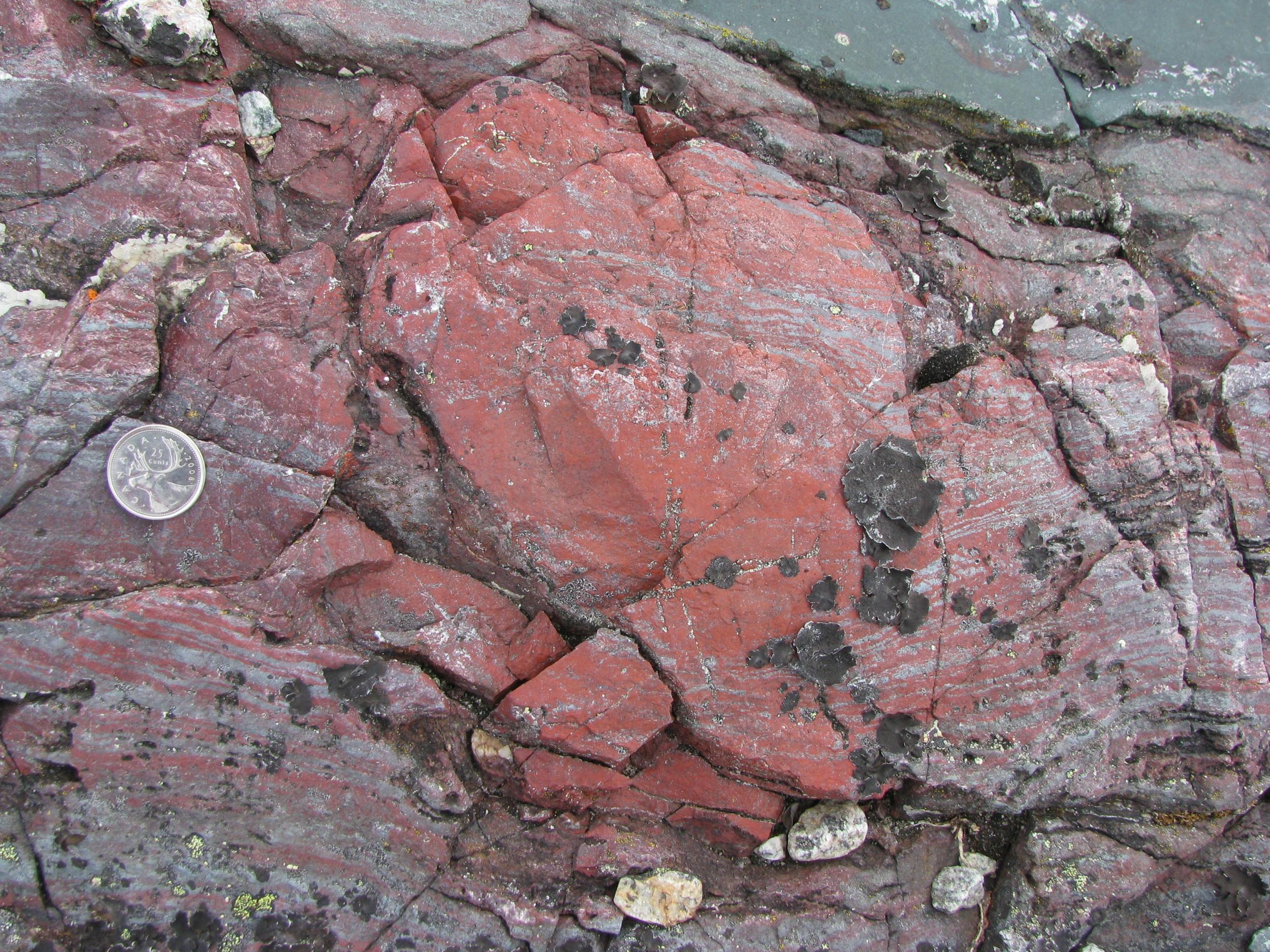 The Canadian rock in which the 'microfossils' were found