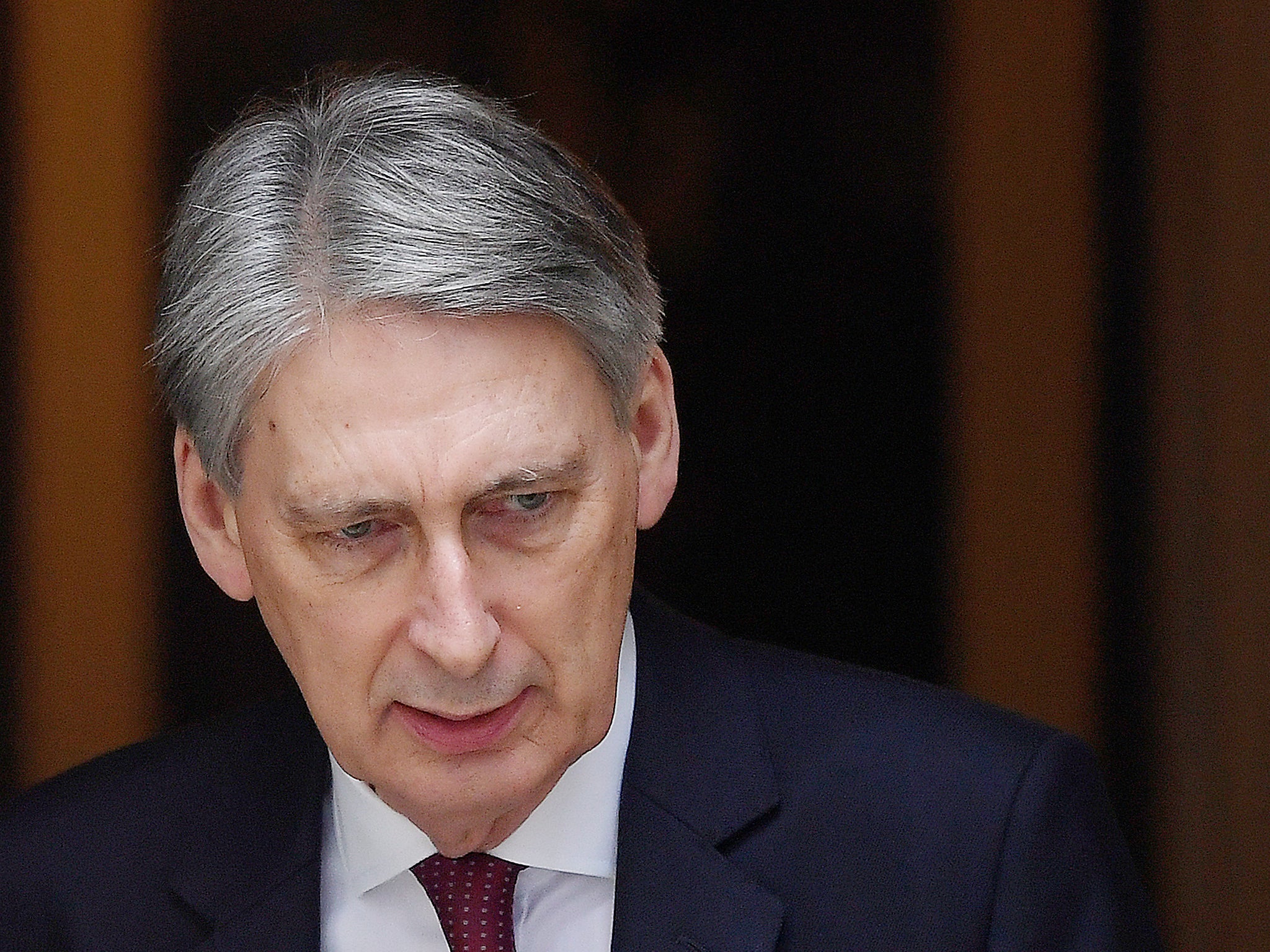 Philip Hammond may be too sage for the more excitable Brexit bunnies