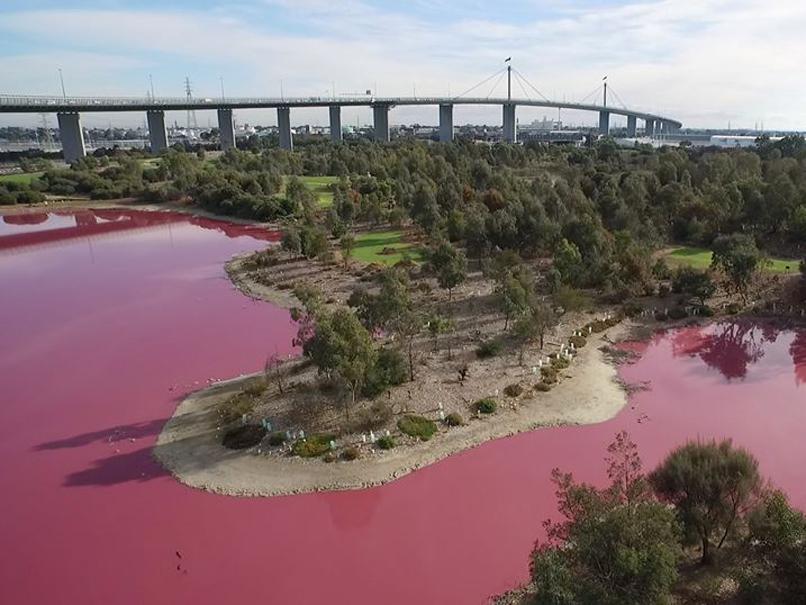 The Westgate Park's salt lakes in Melbourne