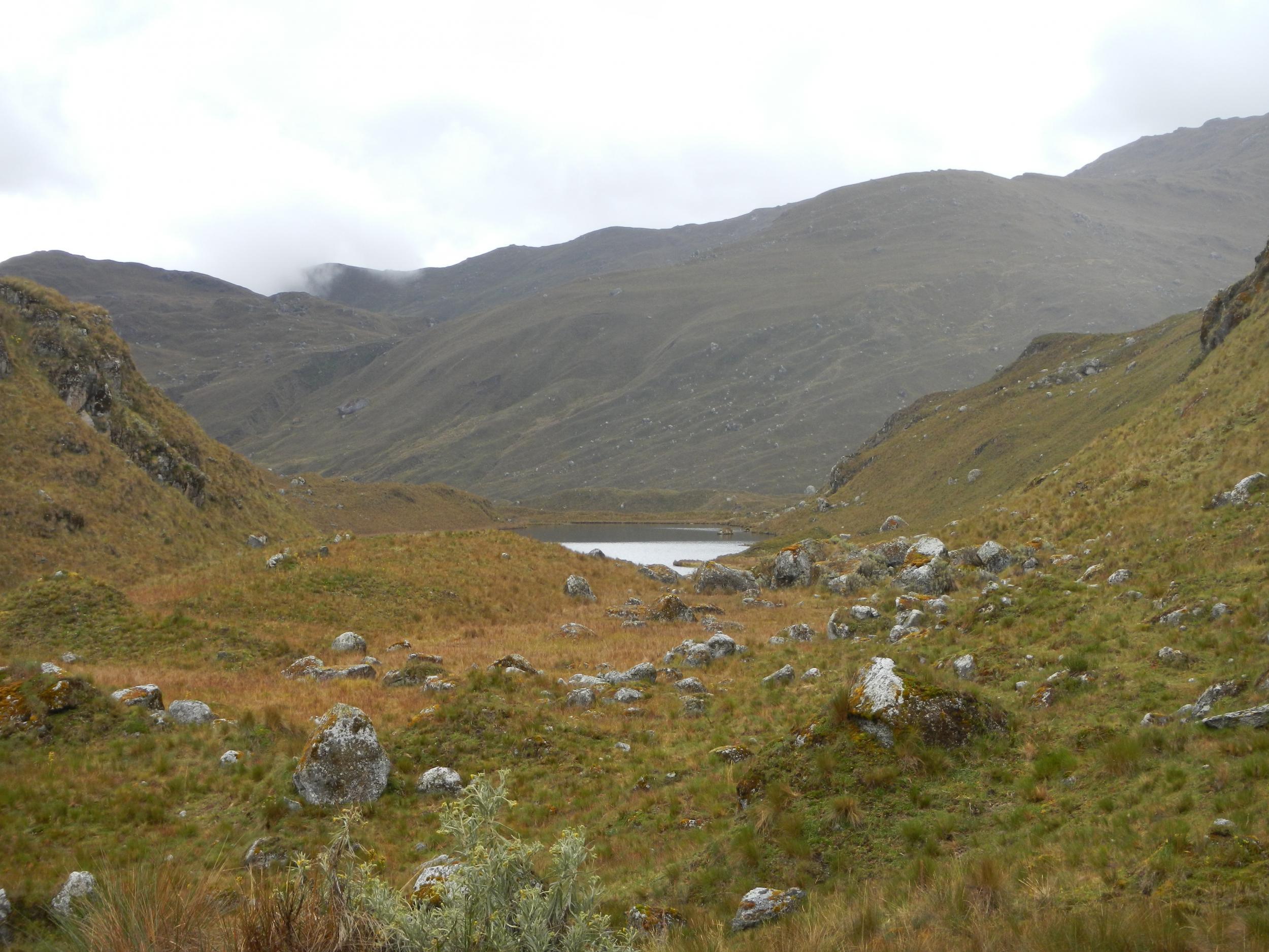 The upper Tarhuish valley at Laguna Udrecocha, Puna, in Peru, where the rubber frogs were found is 3,936 metres above sea level