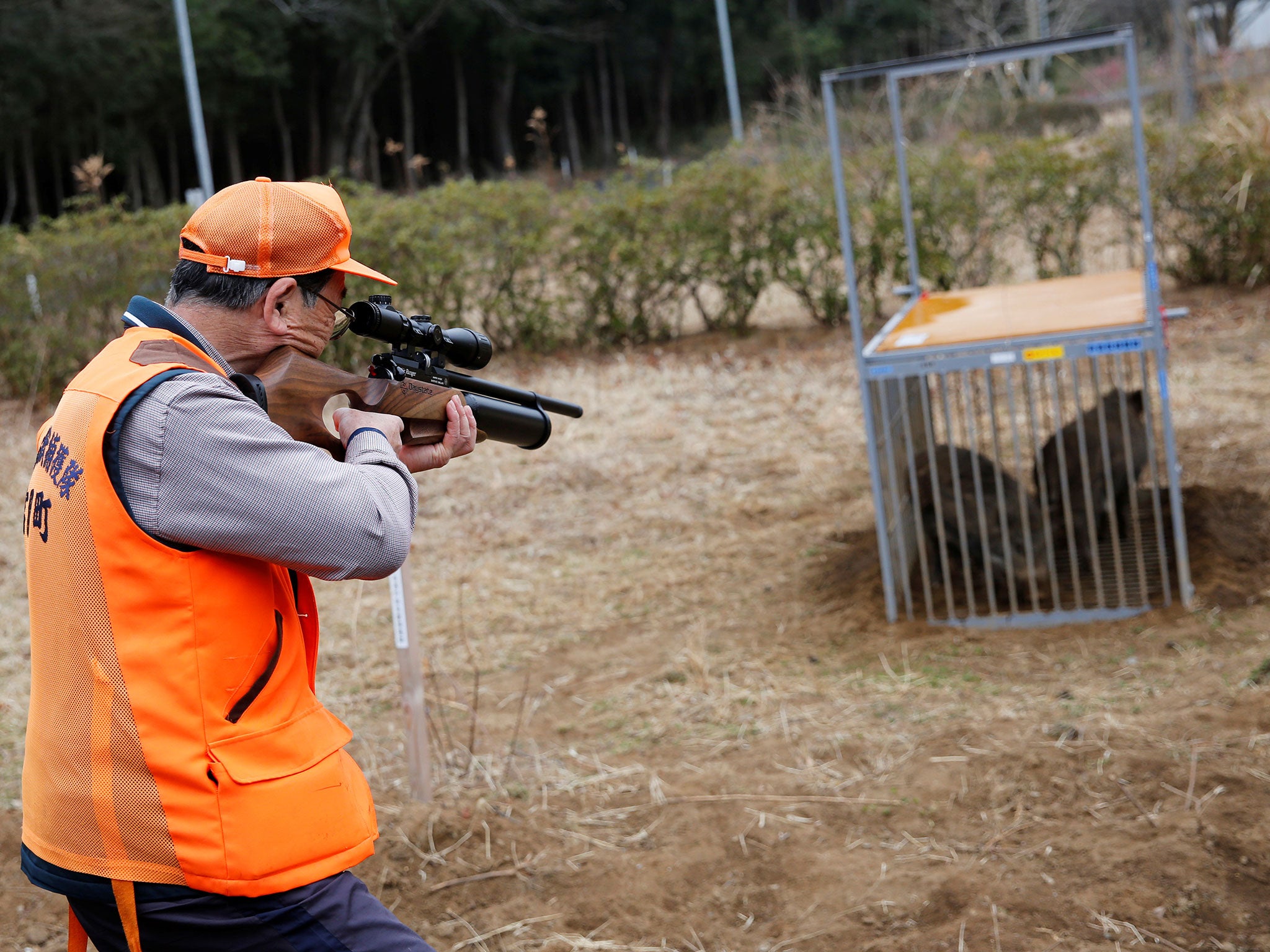 One of Tomioka Town’s animal control hunters holds a pellet gun to kill a caged wild boar