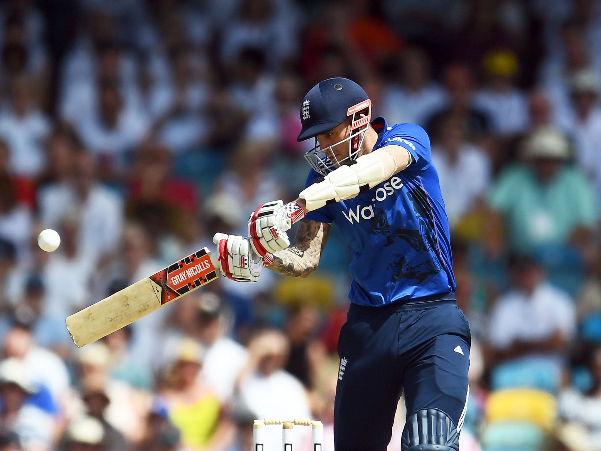 Alex Hales showed no mercy to the West Indies' struggling bowlers