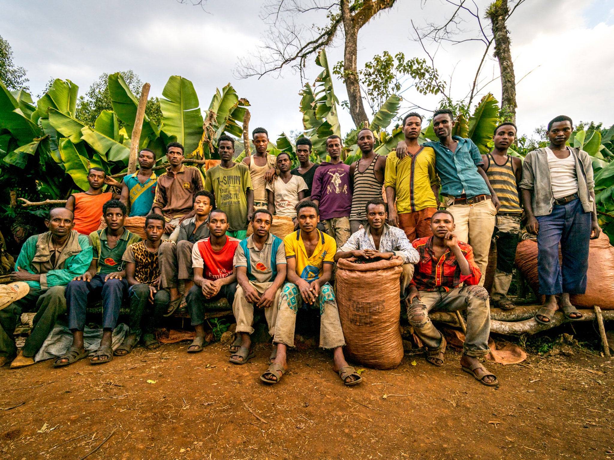 Coffee workers on a top quality producing farm in Ethiopia