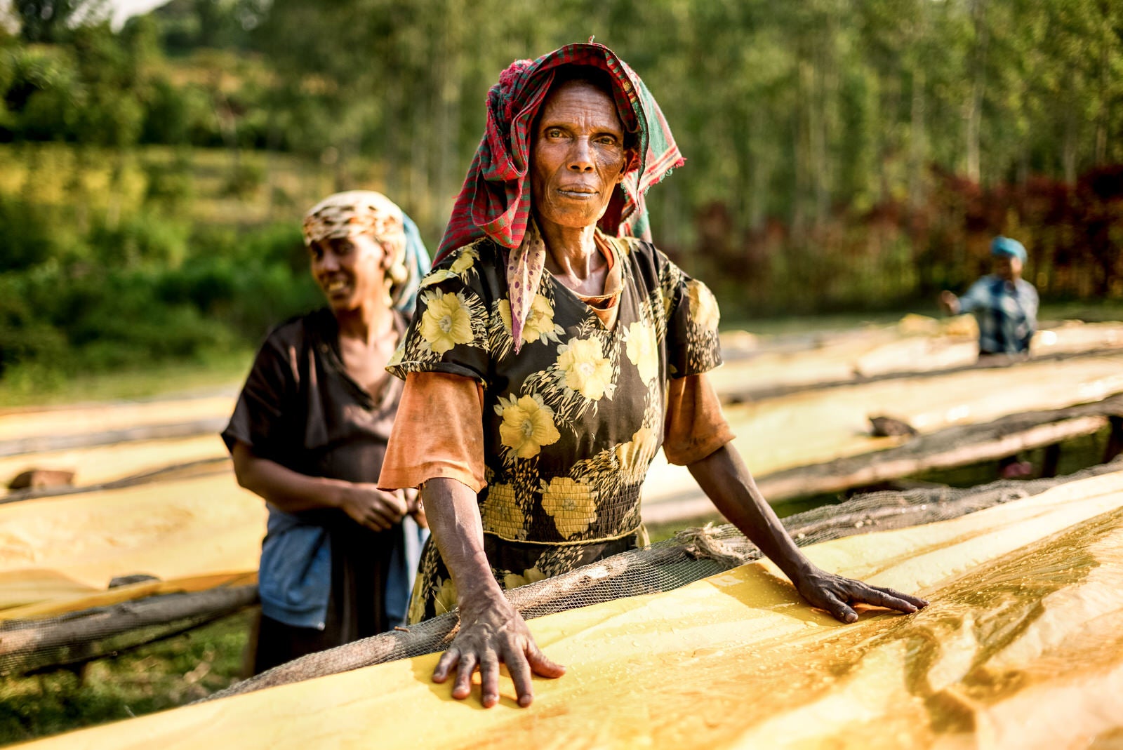 A woman working at a coffee drying bed at a farm in Yayu