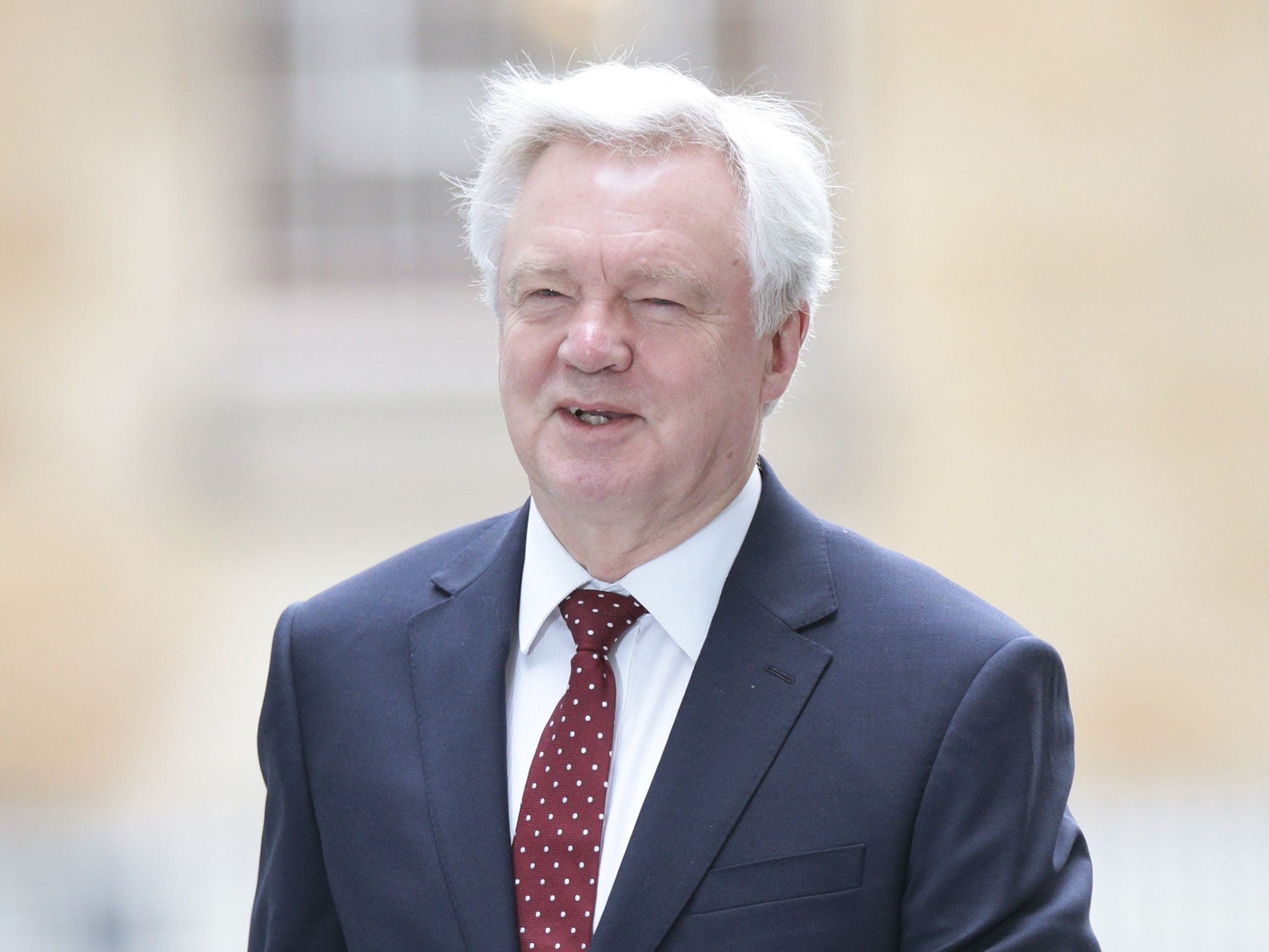 Brexit Secretary David Davis