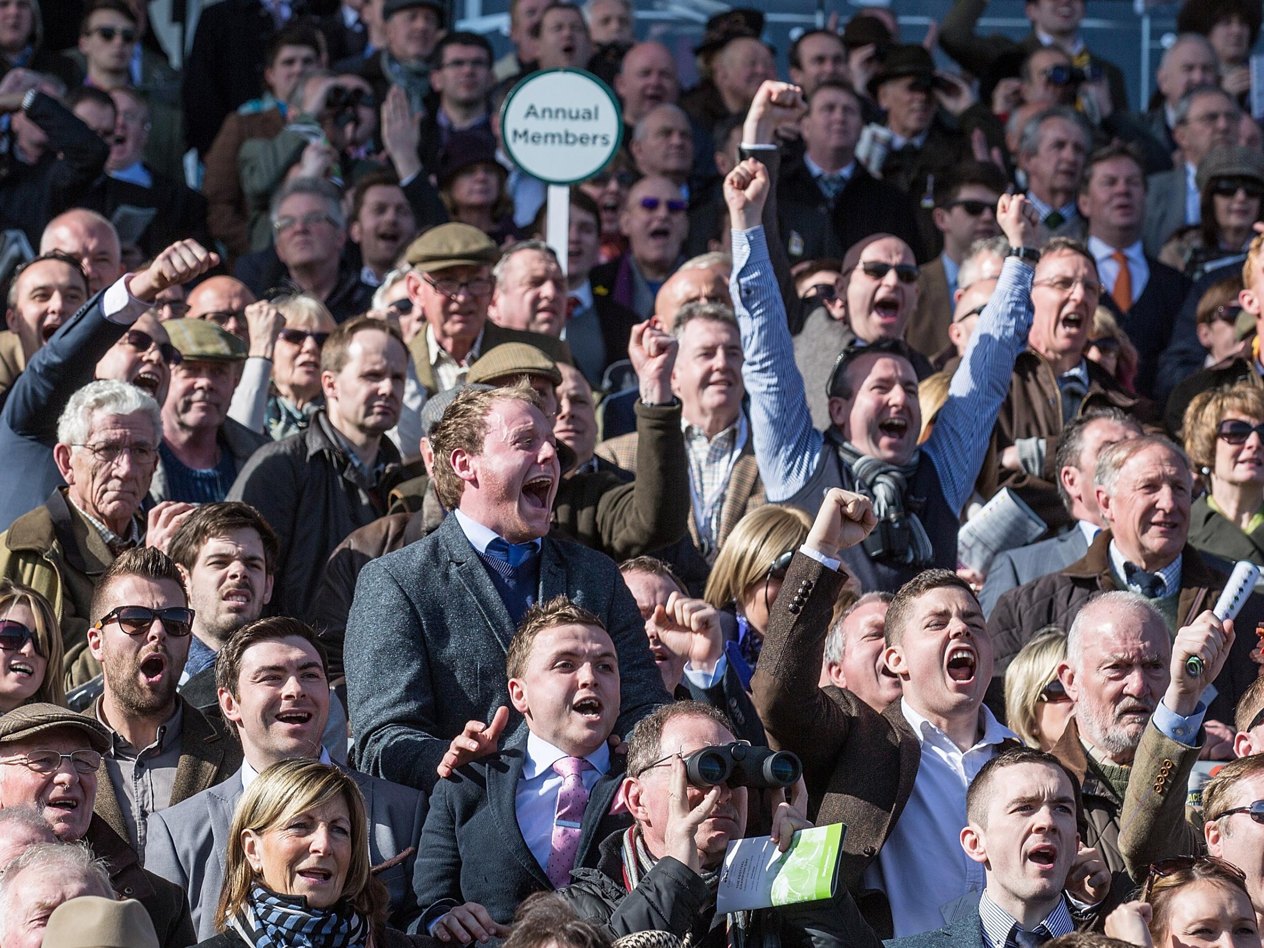 The Cheltenham Festival is a highlight of the UK's sporting calendar