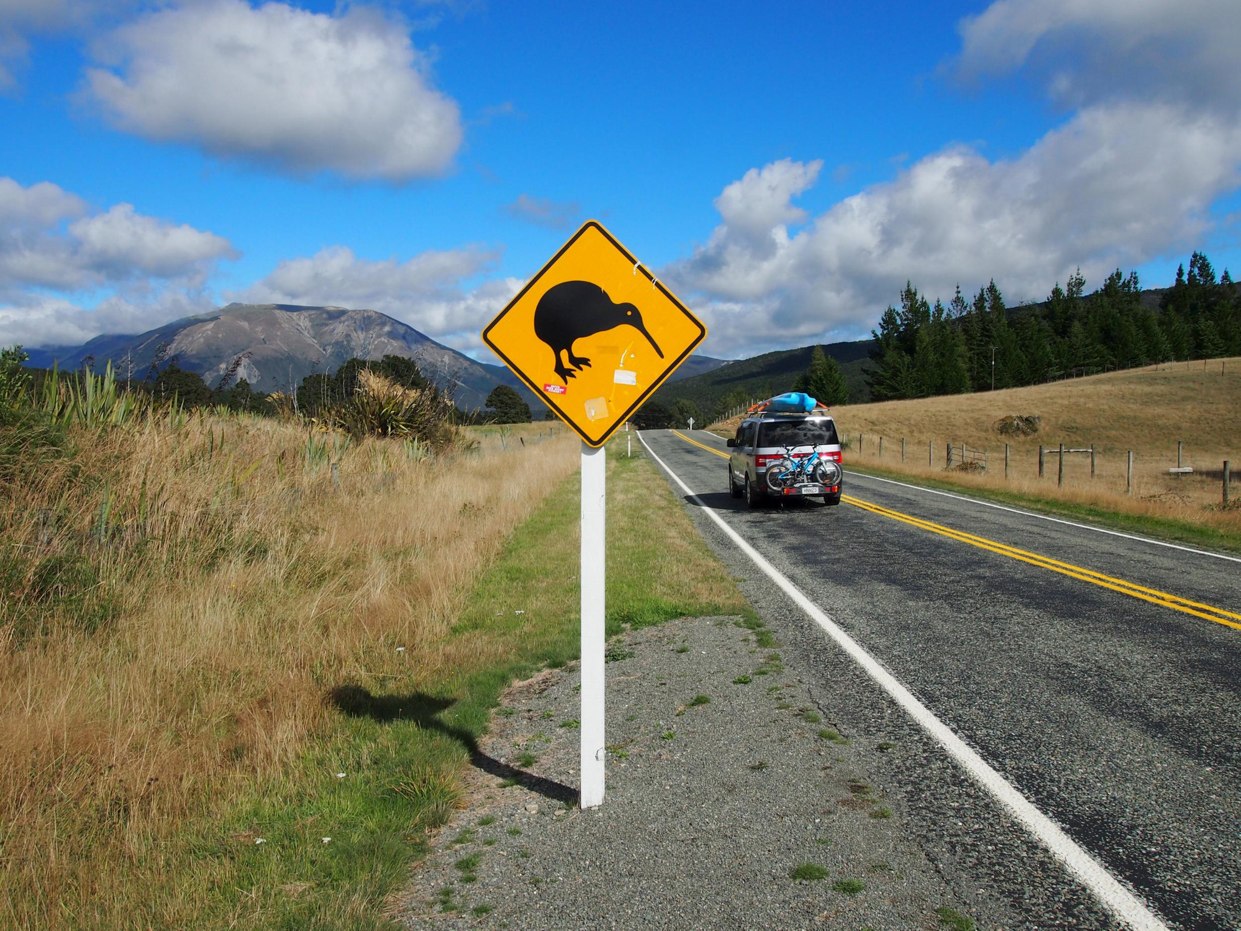 Americans fleeing Trump regime to New Zealand’s picturesque South Island