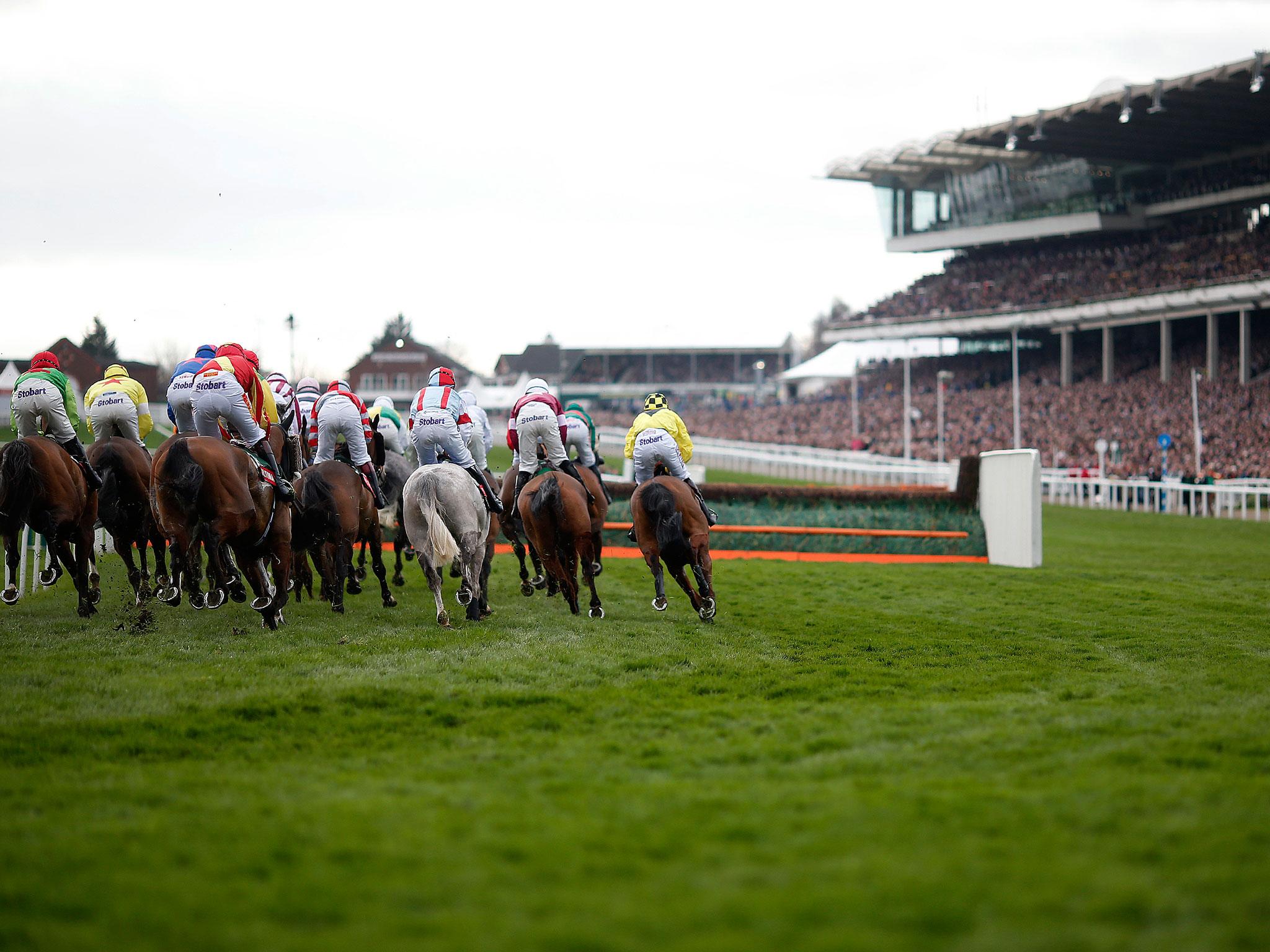 Cheltenham festival 2017 drew to a close with the Novice’s Handicap Chase