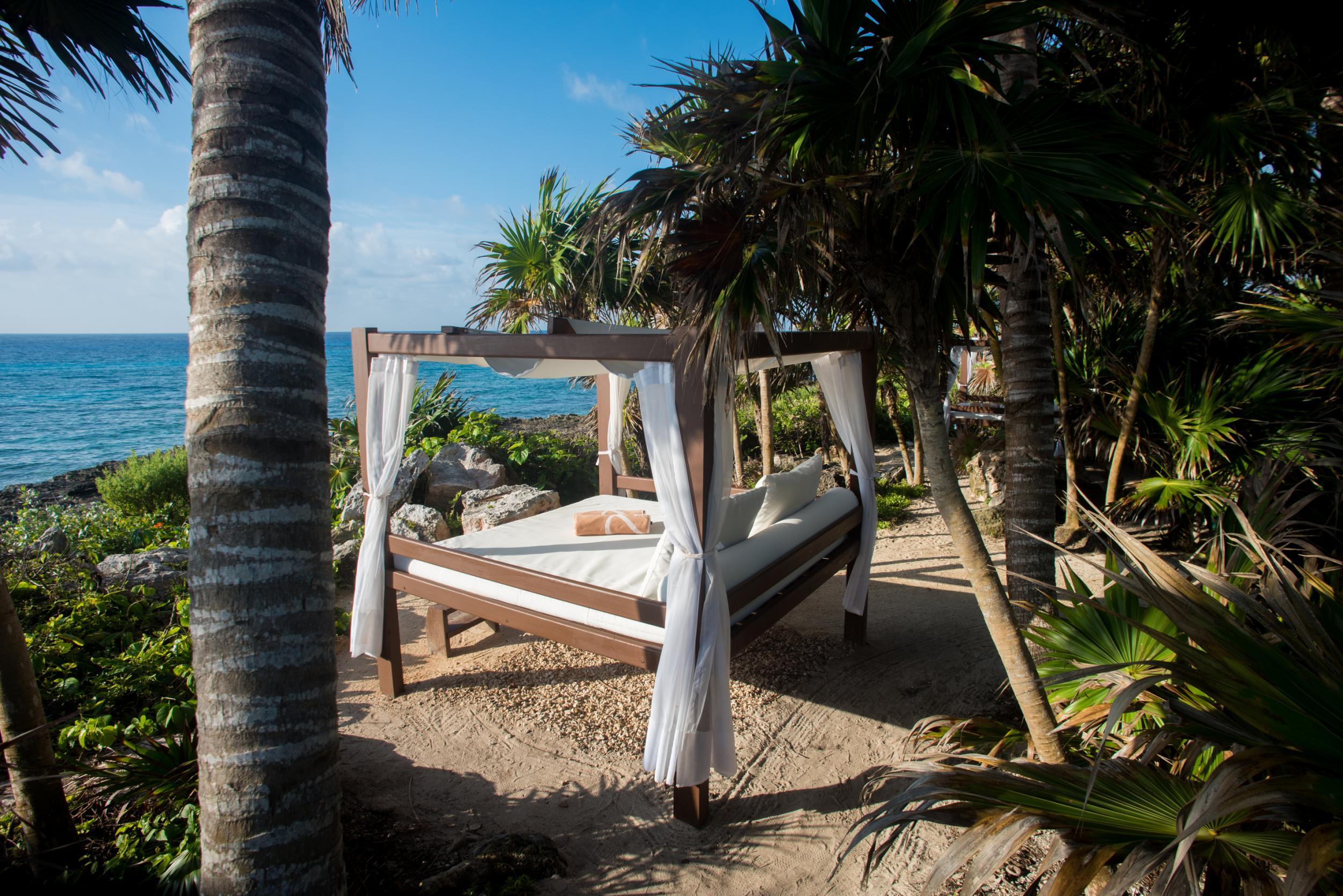 The jungle setting of the Occidental at Xcaret Destination