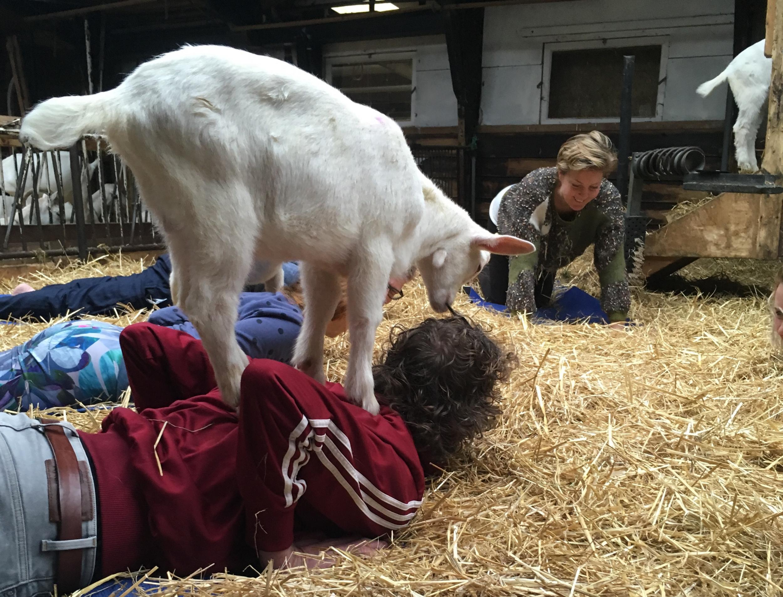 A kid mounts for Downward Dog