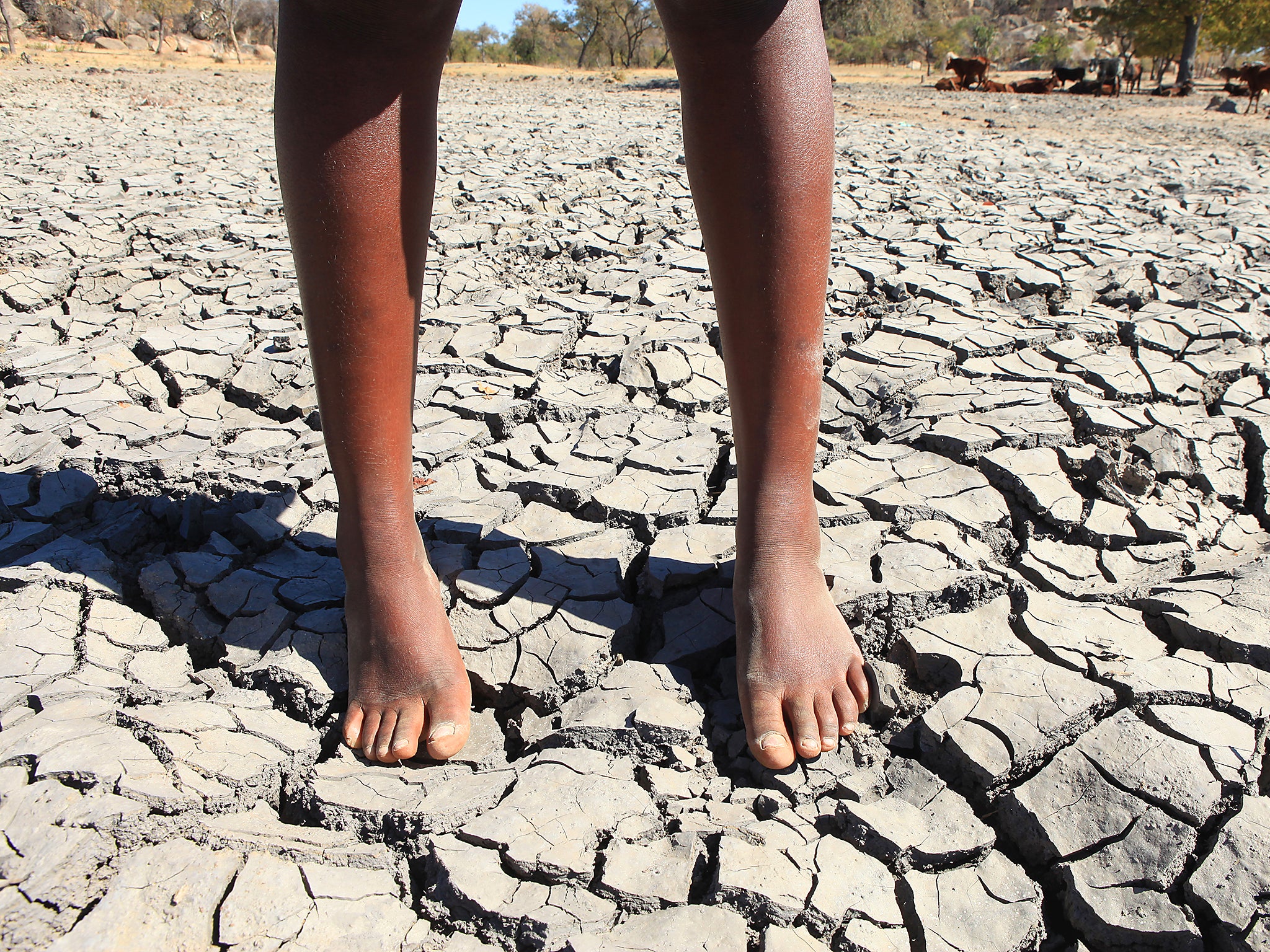 Pakistan could face drought in the near future, experts have warned in a fresh report