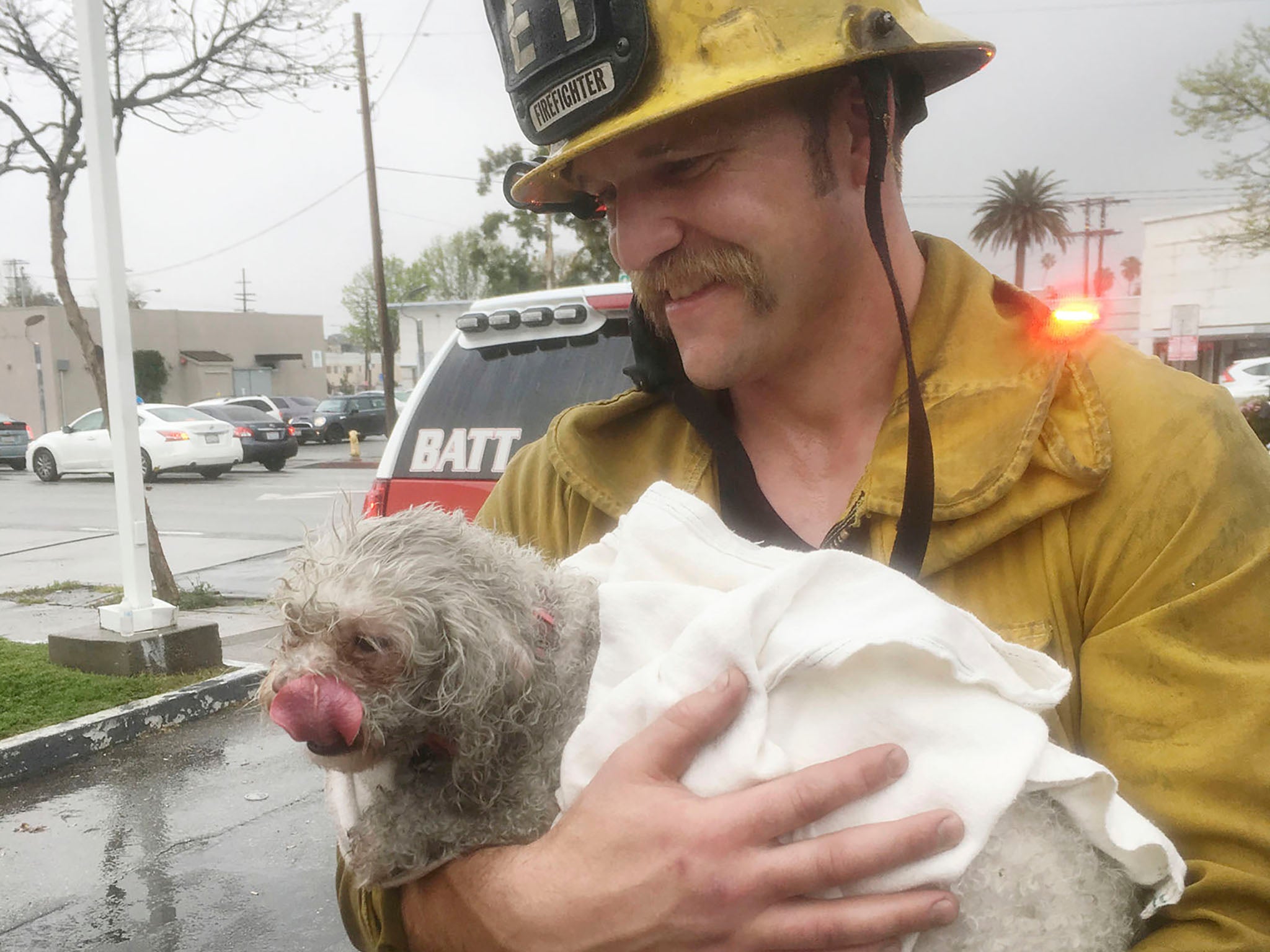 Dog’s best friend: Firefighter Andrew Klein spent 20 minutes giving Nalu lifesaving CPR