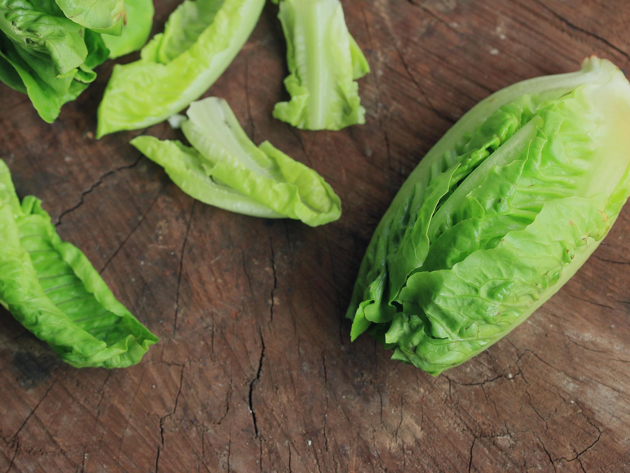 Pak choi is rich in vitamin C