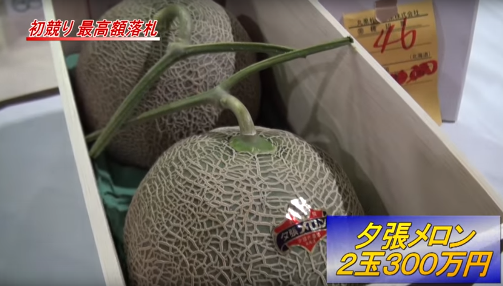 The record-breaking melons