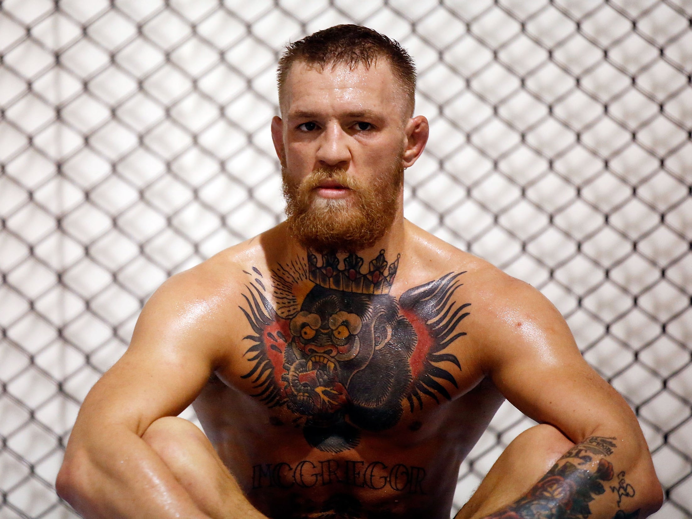 Reigning UFC Lightweight Champion McGregor is hoping to make his boxing debut