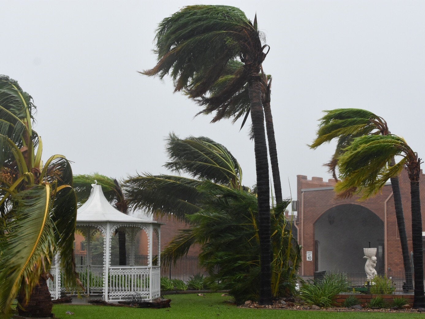 Trees effected by strong winds from Cyclone Debbie can be seen in the town of Bowen