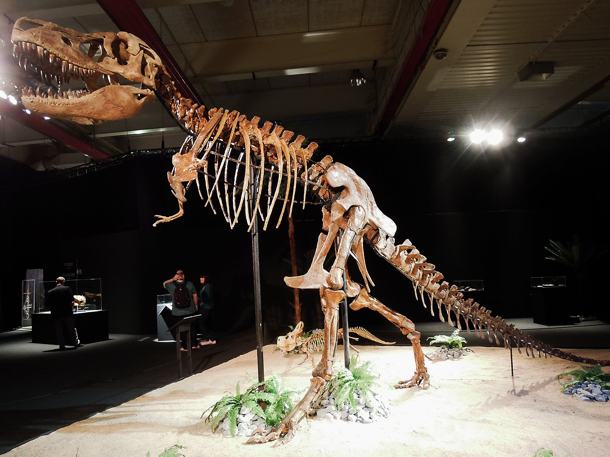 The near-complete tarbosaurus skeleton appeared in a Manhattan auction catalogue