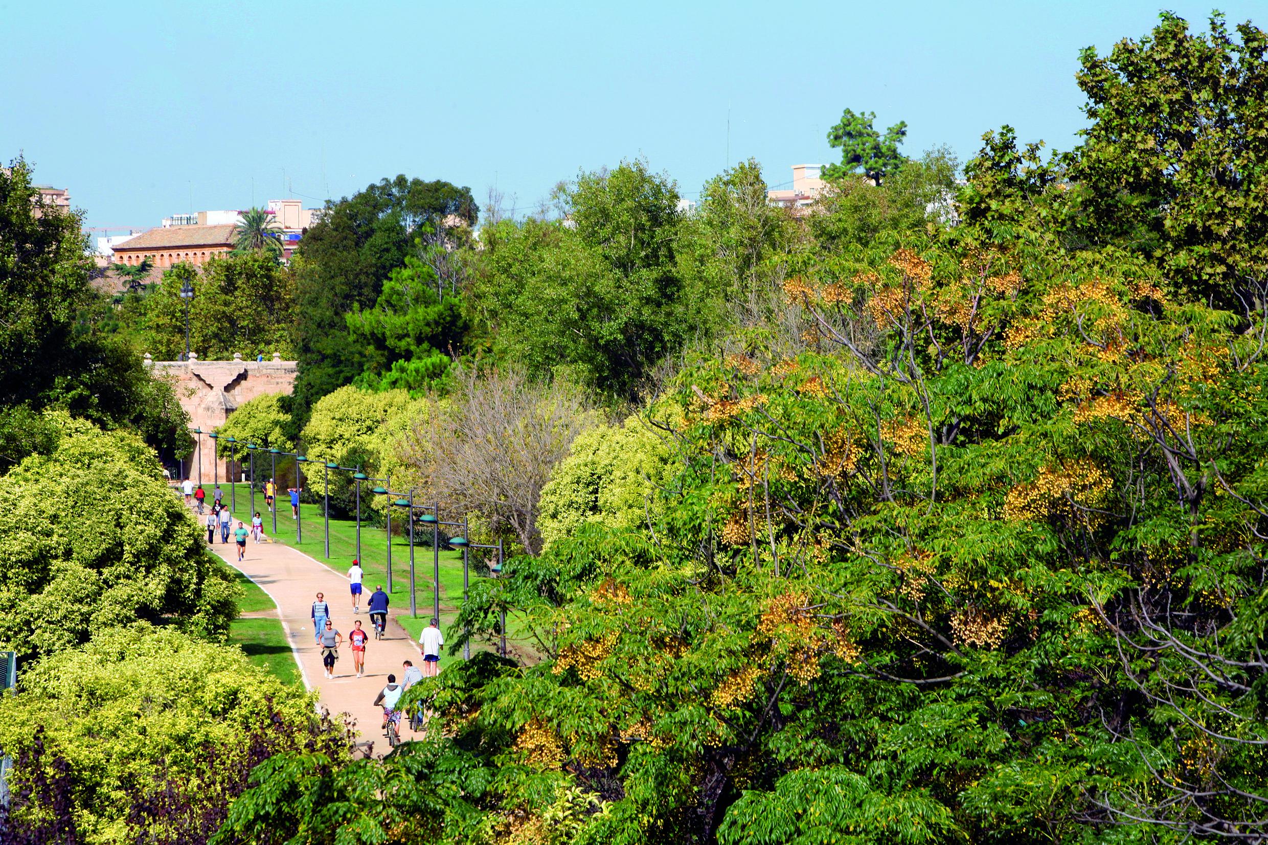 The Jardines del Turia are the green lungs of the city