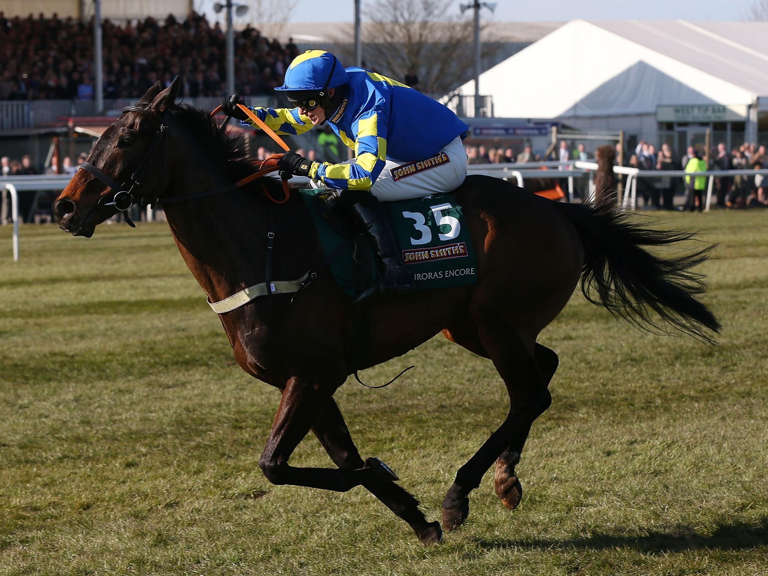 Auroras Encore was the surprise winner in 2013