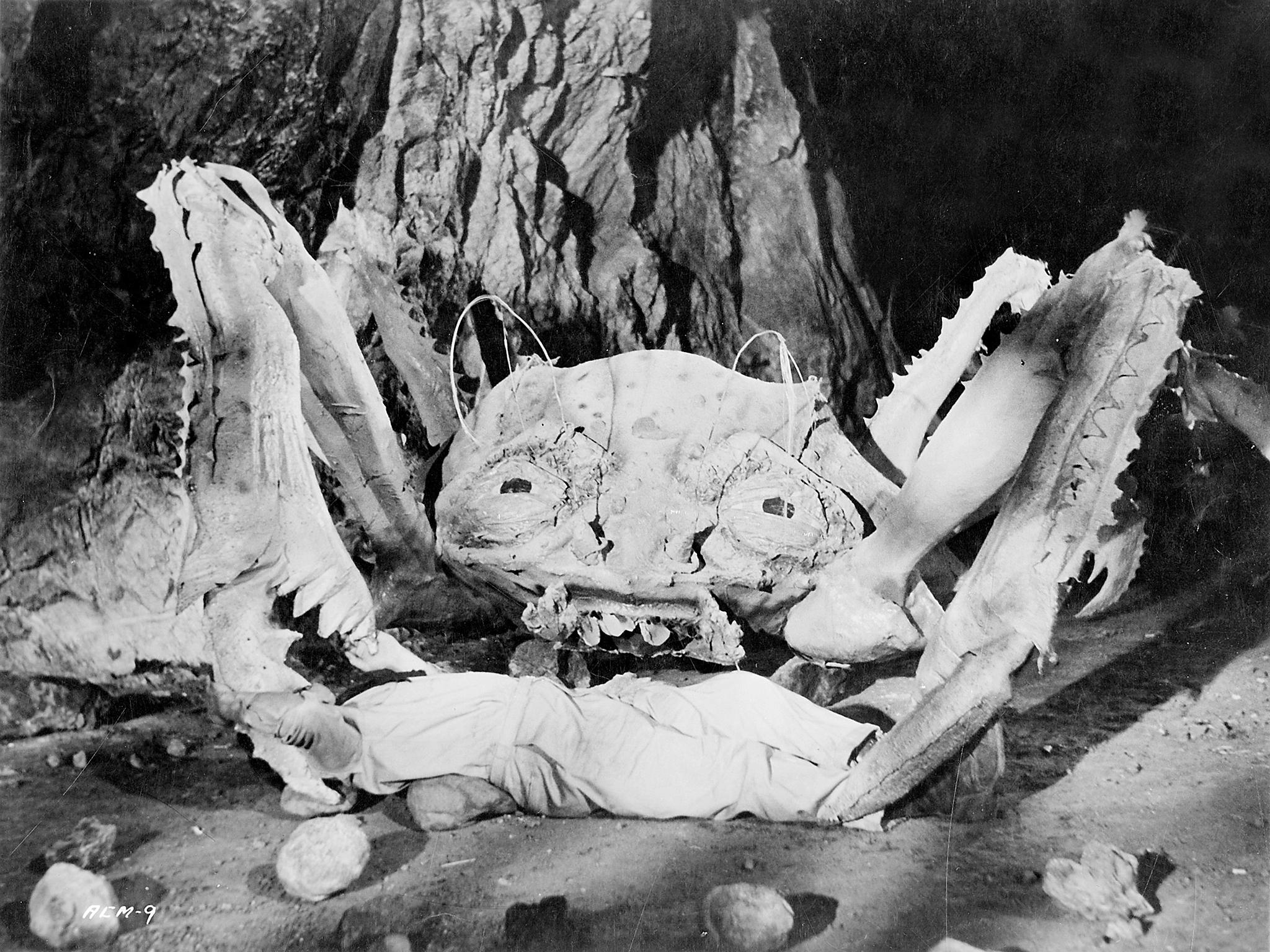 &#13;
'Plan 9' was born in the same era that welcomed 'Attack of the Crab Monsters'&#13;