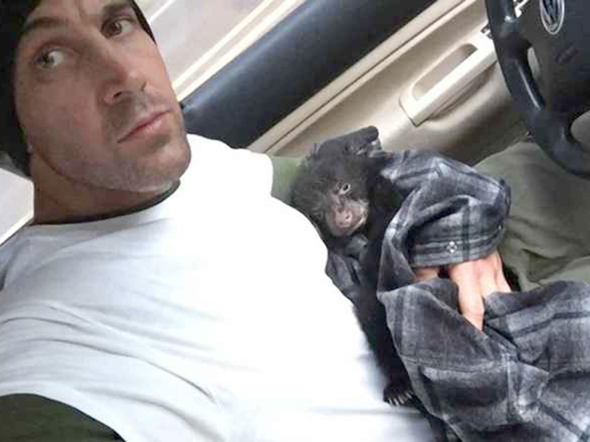 After finding a dying black bear cub in the wild, Corey Hancock made the difficult decision to rush the animal to a rehabilitation facility. Authorities said the cub was dehydrated, malnourished and suffering from pneumonia