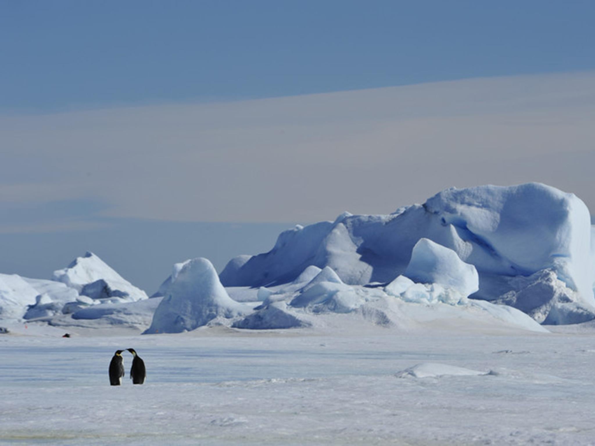 If we burnt all fossil fuel reserves the vast Antarctic ice sheet may disappear, causing sea levels to rise (Shutterstock)