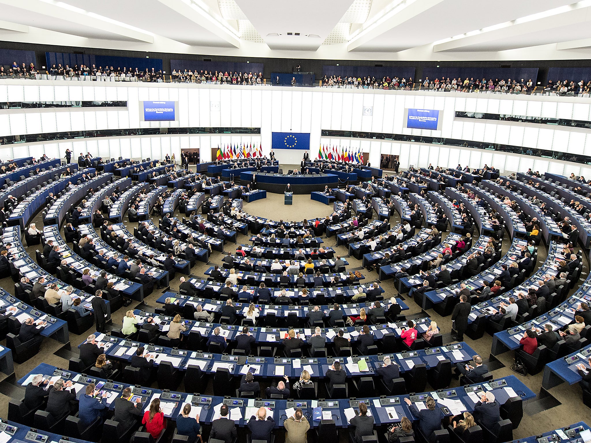 The MEPs come from across the Parliament, including the Conservatives