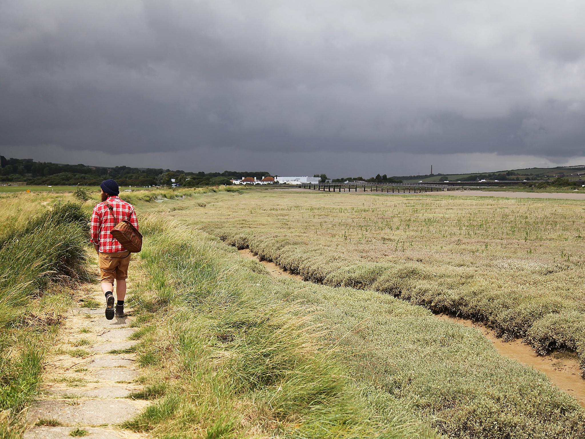 Ramble: Wross Lawrence gathers wild ingredients on country walks