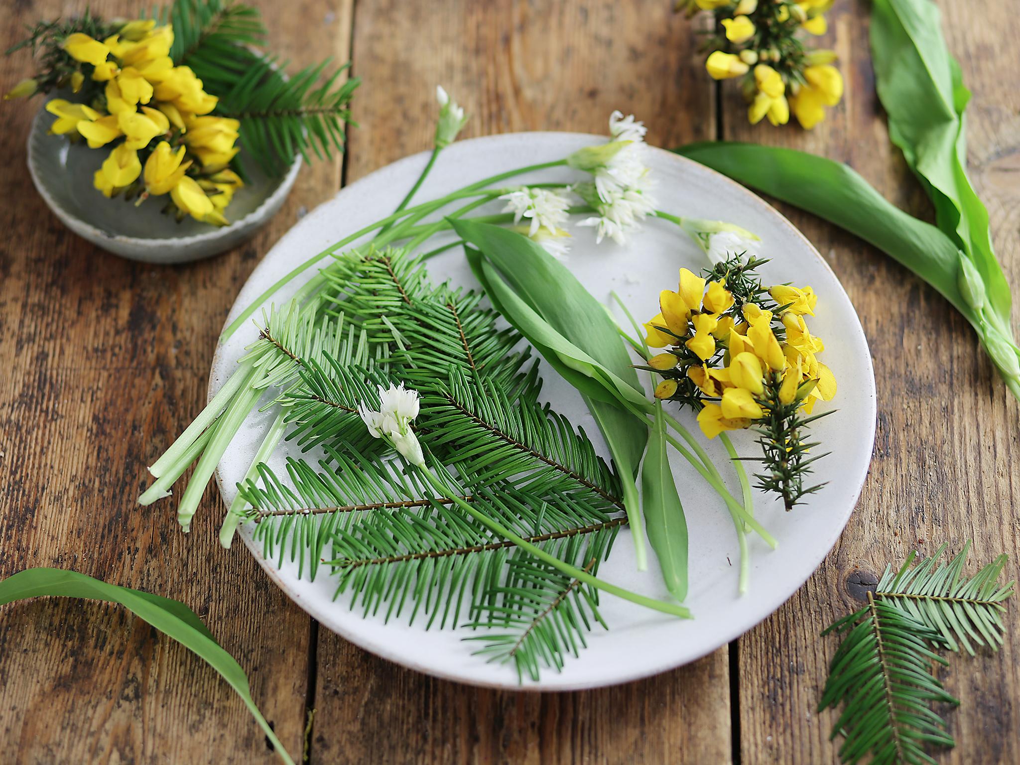 Nature’s plate: Wild garlic, elderflower and purslane among pickings