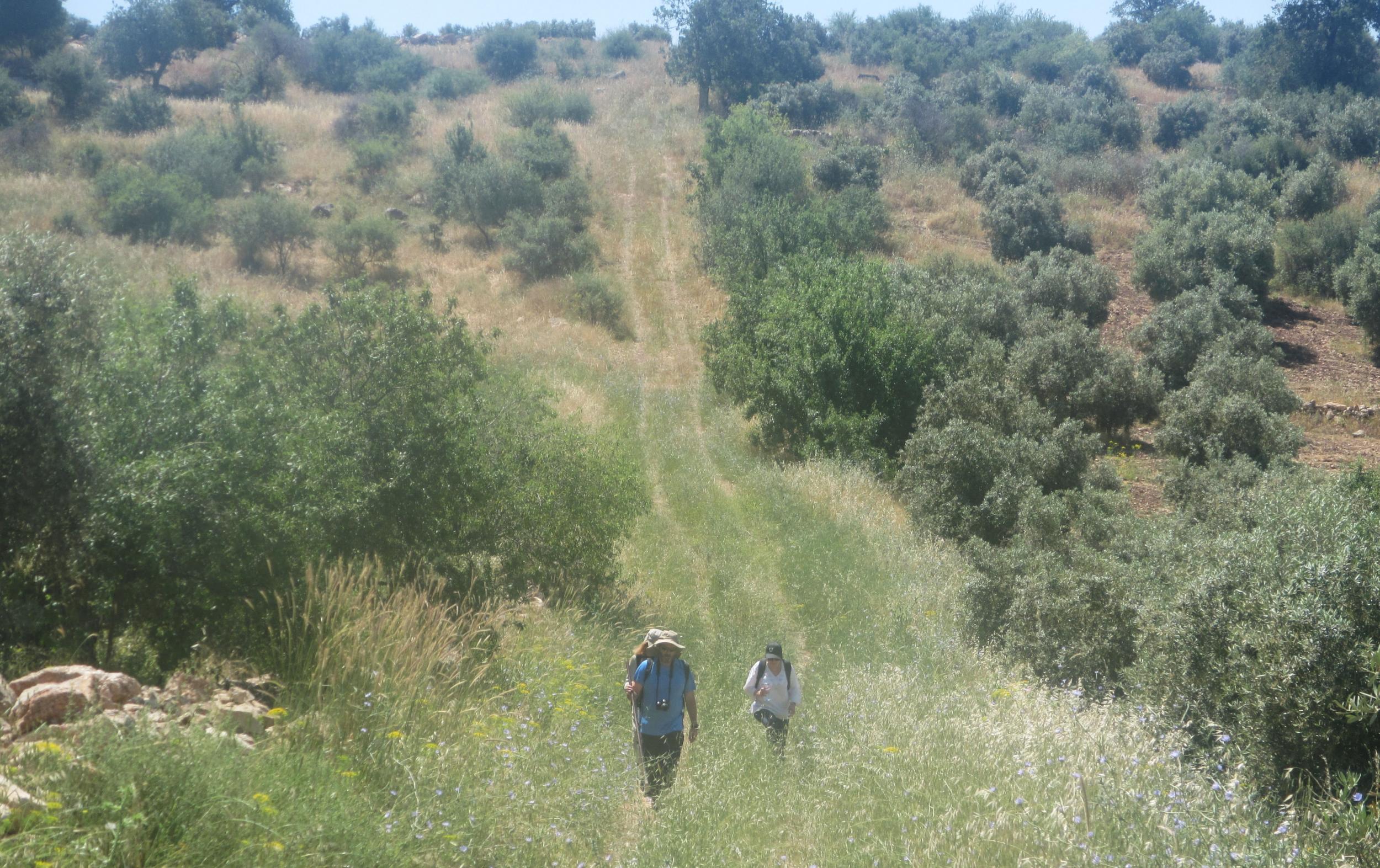 The landscape in the north is greener