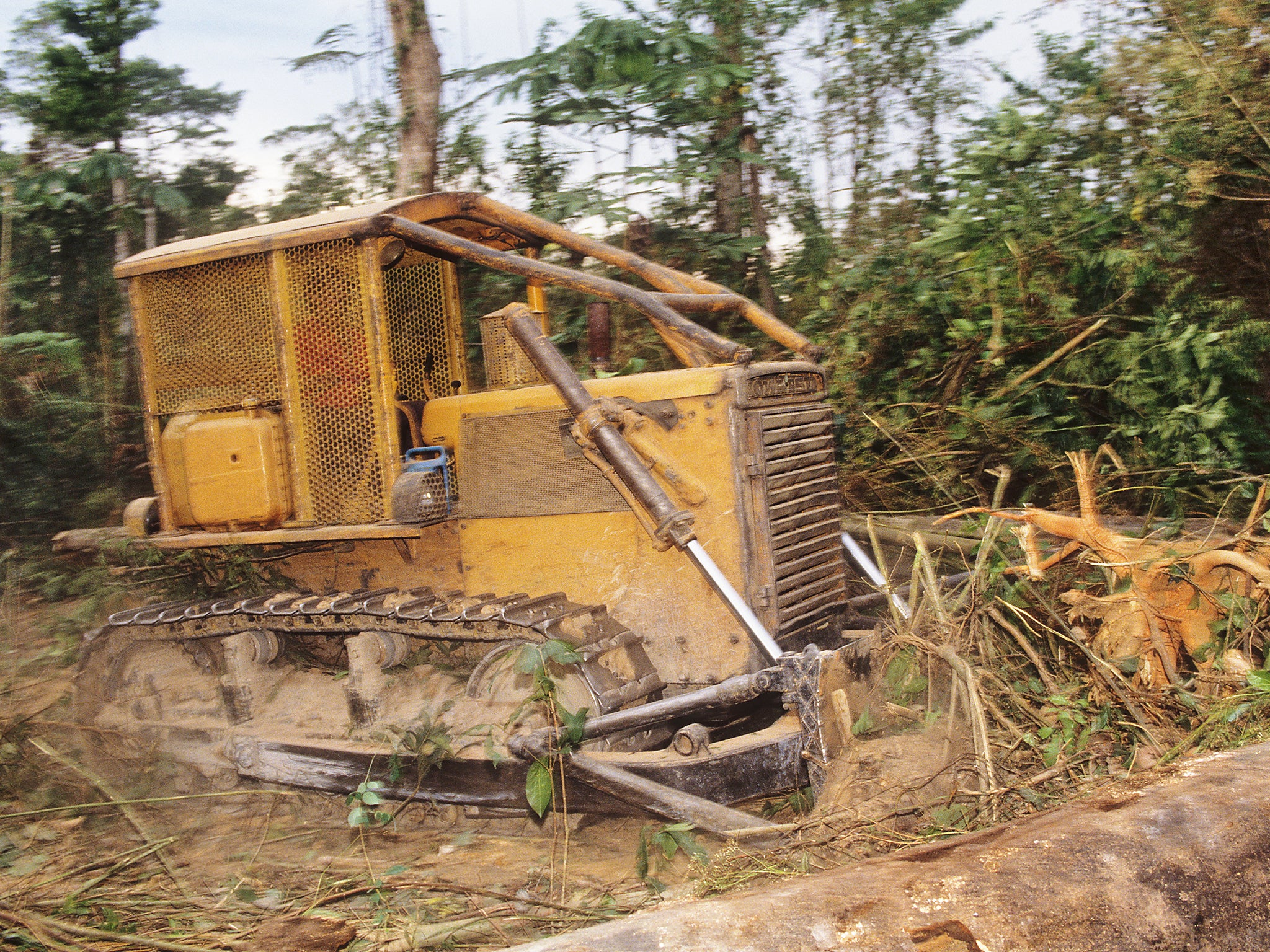 Illegal logging operations are a massive threat to the Amazon jungle (Environmental Images/Universal Images Group/REX)