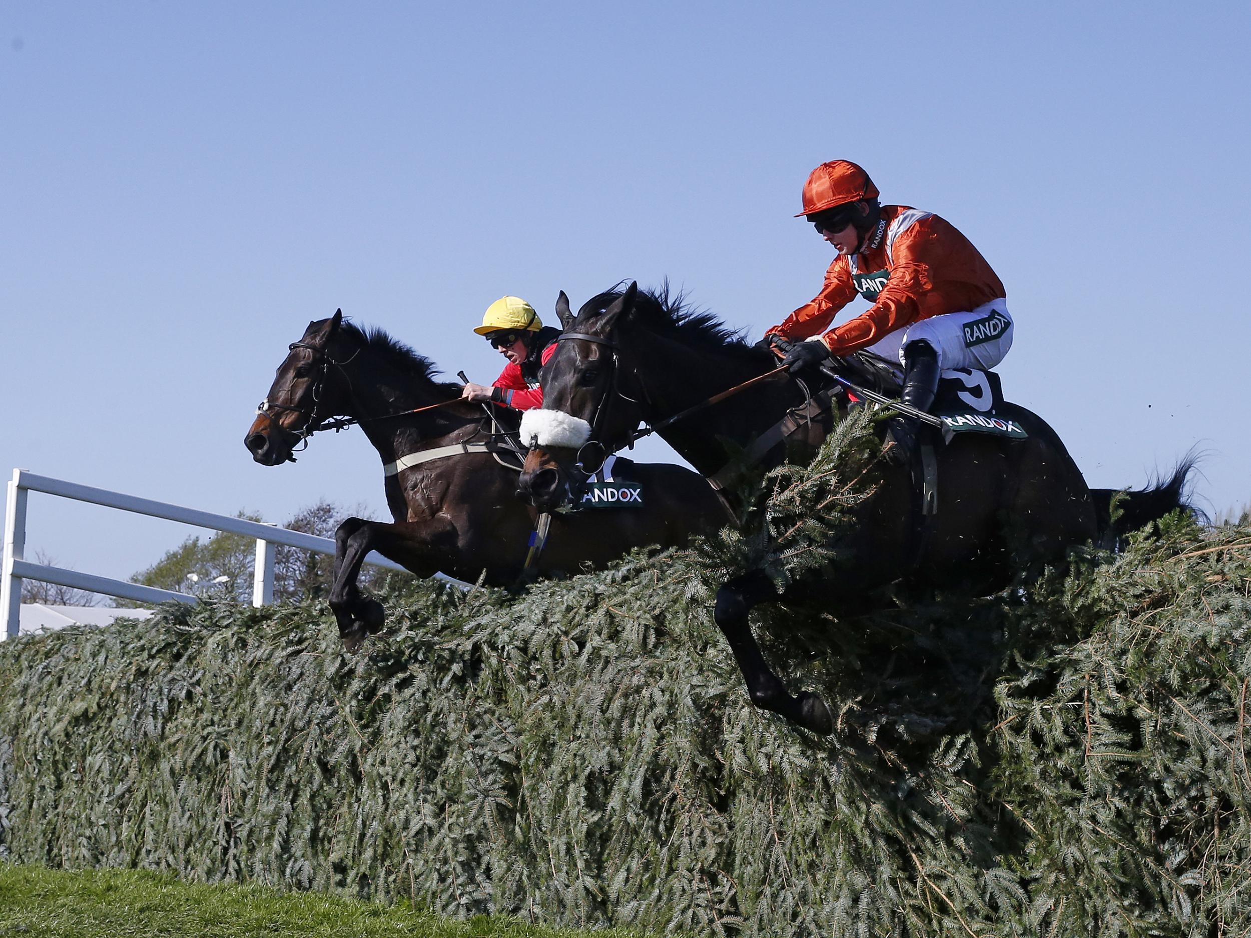 50-1 shot Ultragold won the Randox Health Topham Chase