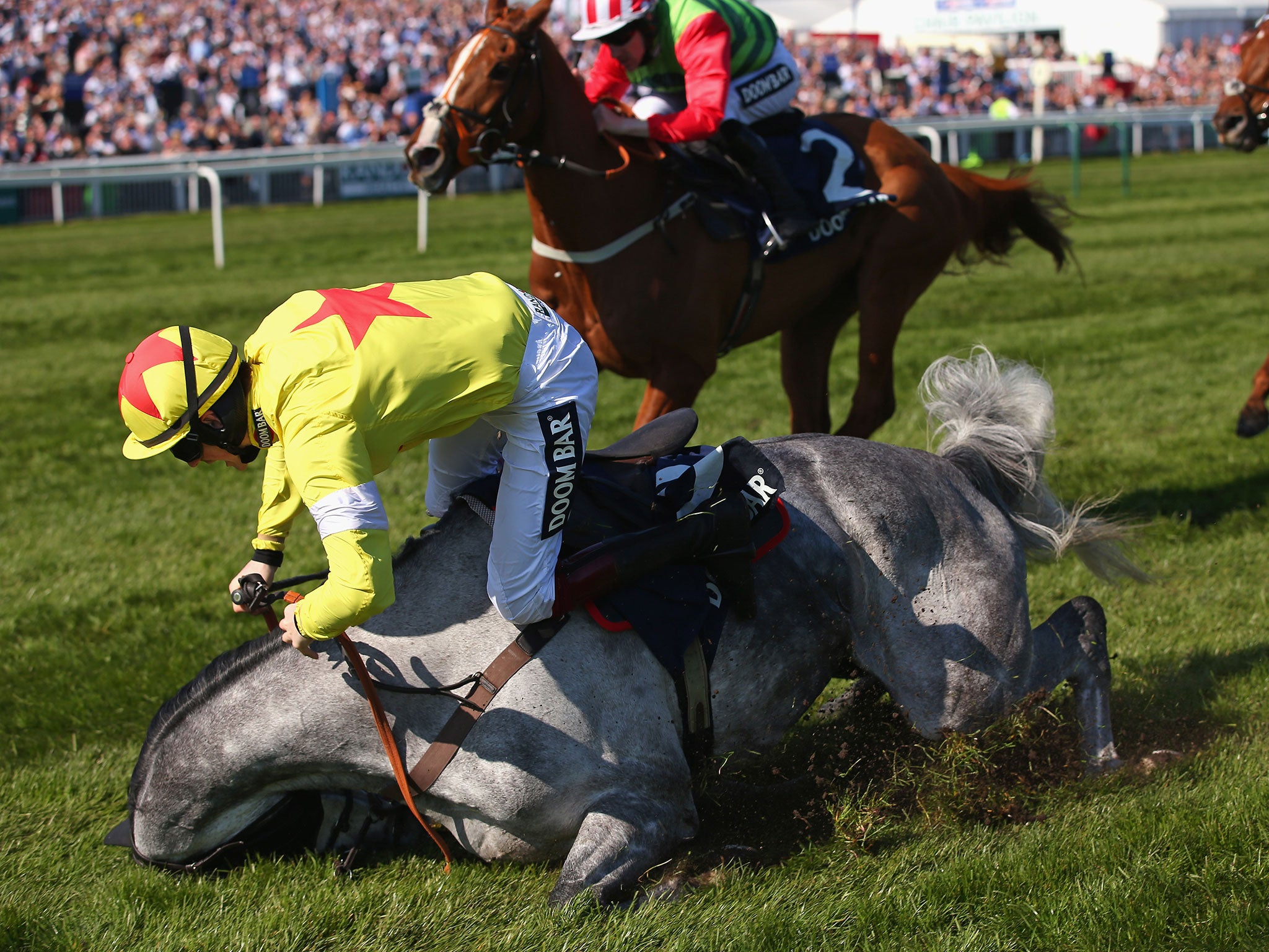 Politologue, jockeyed by Sam Twiston-Davies, suffered a nasty fall during the Grand National but escaped unhurt