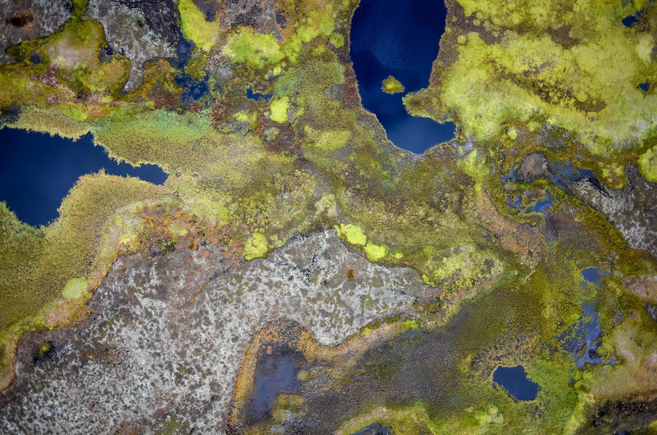 Permafrost in the peat plateaus of northern Norway is beginning to thaw